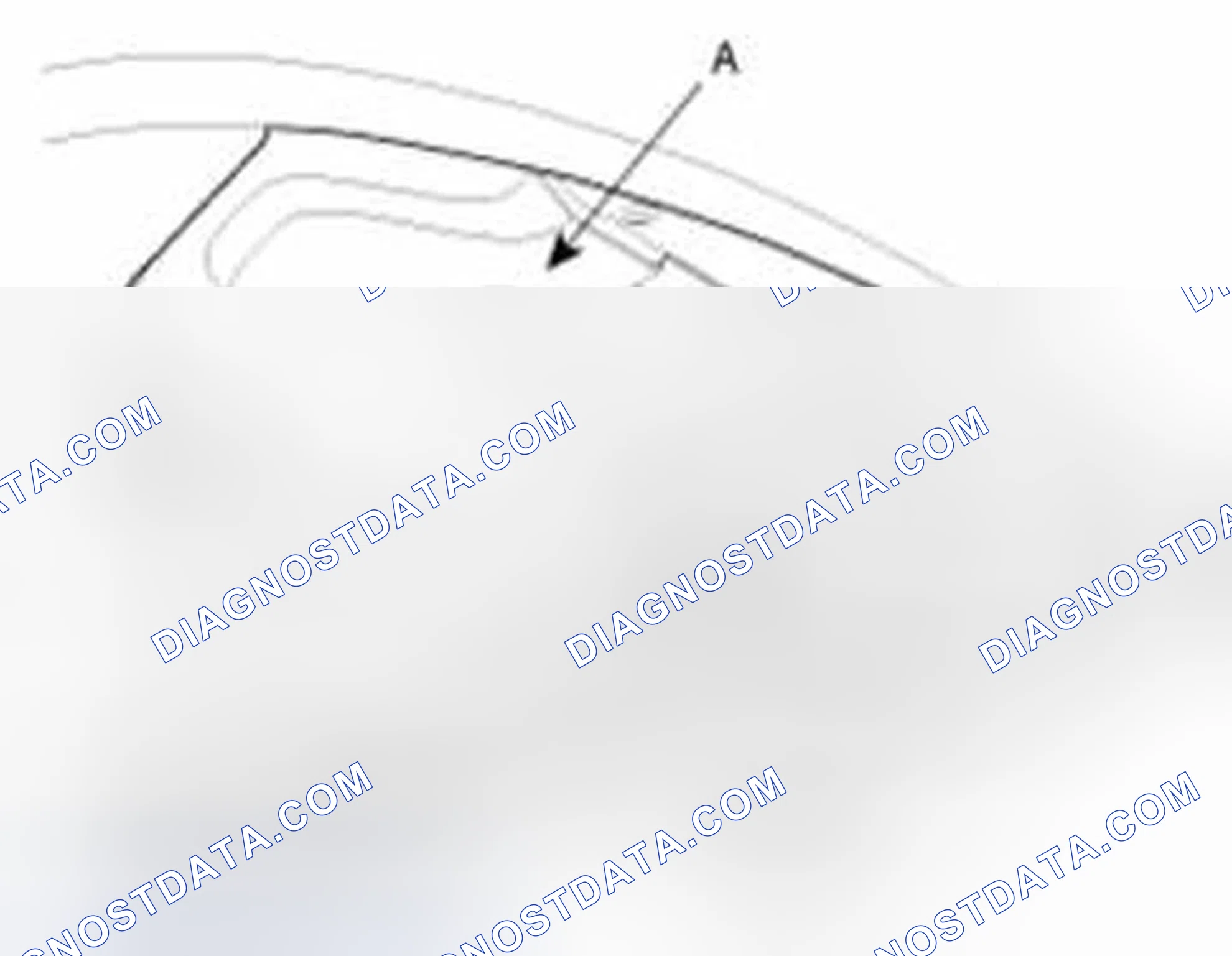Scheme 558