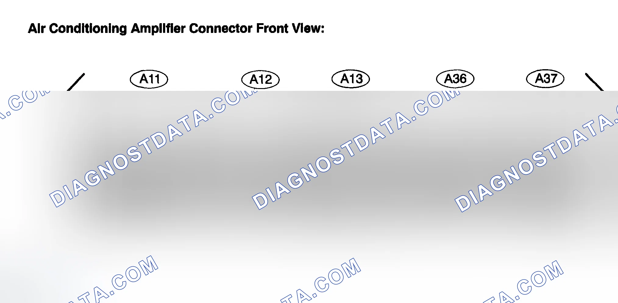 Scheme 338: TERMINALS OF ECU