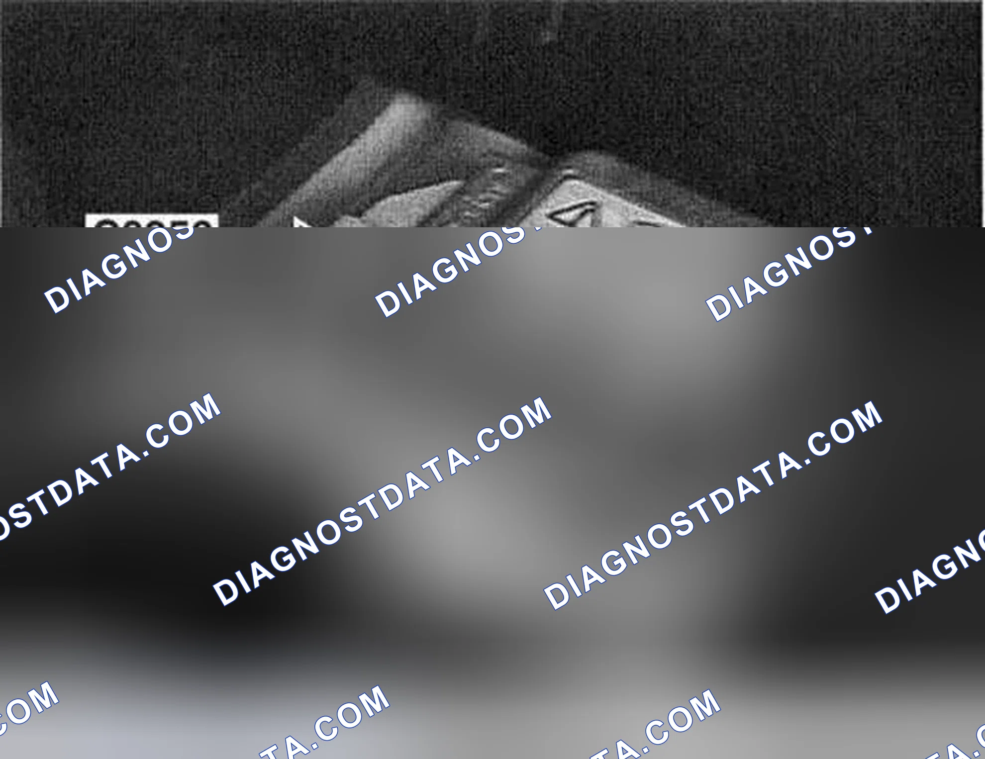 Scheme 52