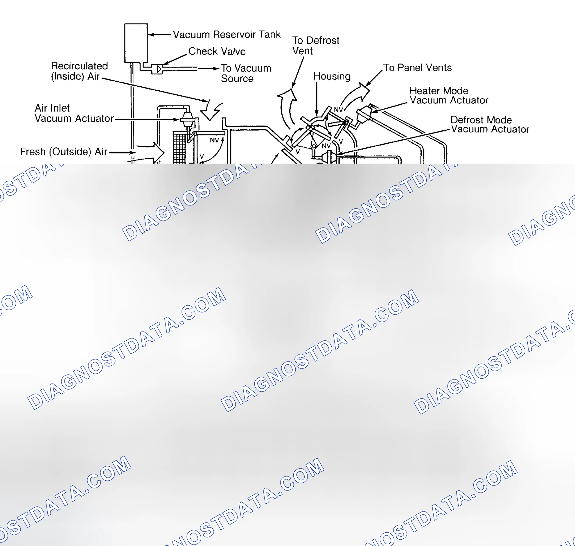Scheme 1: VACUUM HOSE DIAGRAM(S)