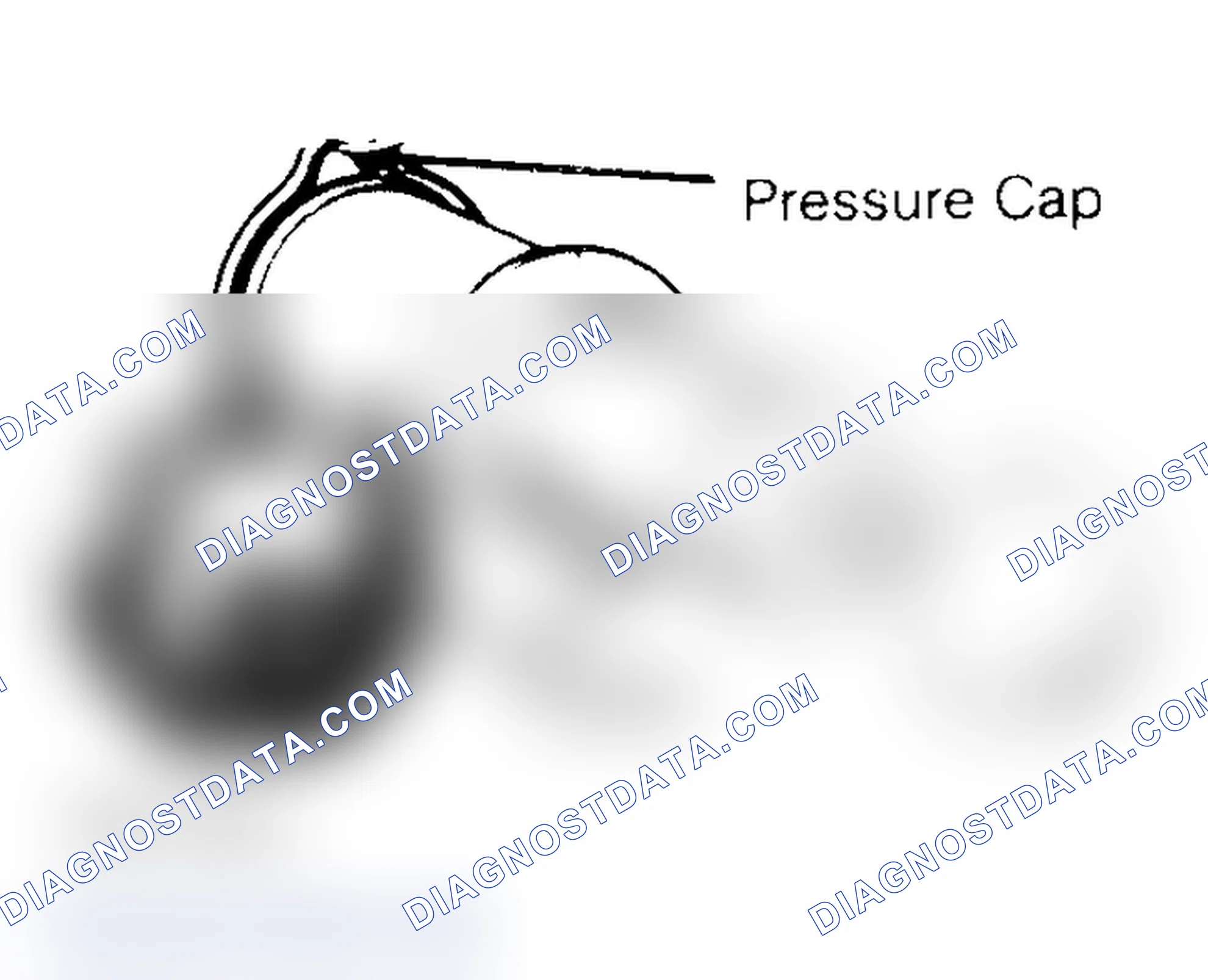 Scheme 2: Pressure Testing Radiator Cap
