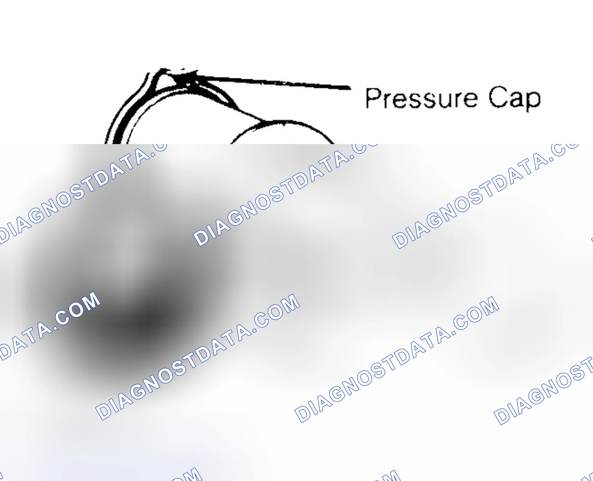 Scheme 2: Pressure Testing Radiator Cap