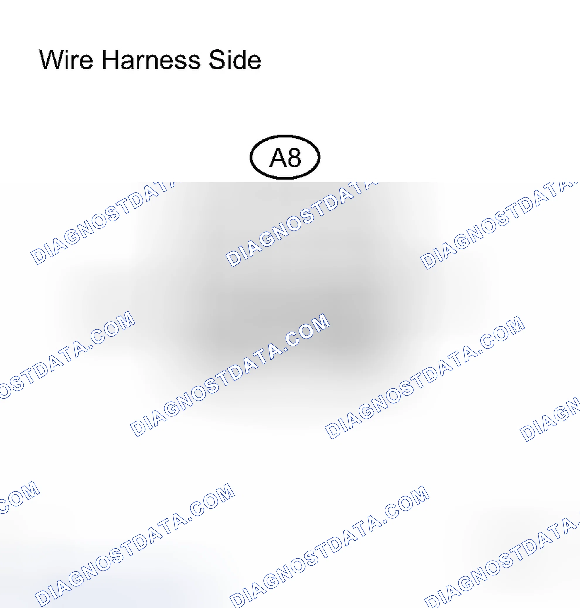 Scheme 118: INSPECTION PROCEDURE