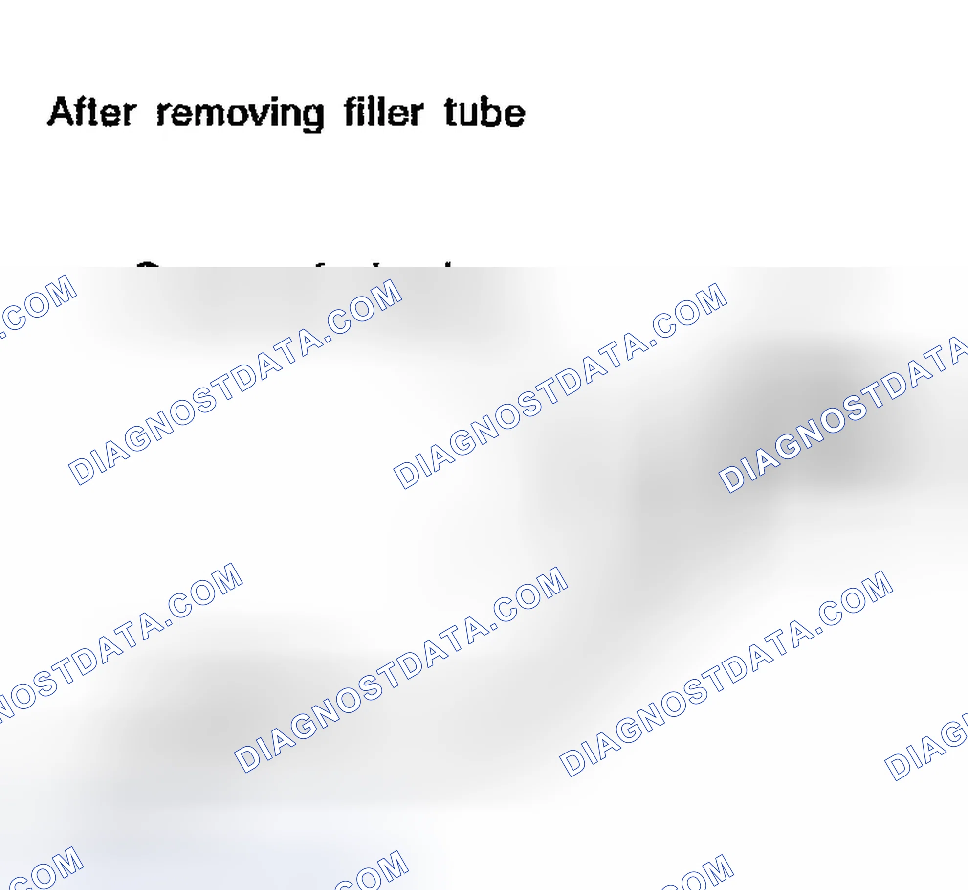 Scheme 1011: Symptom: Cannot Refuel/Fuel Odor From The Fuel Filler Opening Is Strong While Refueling.