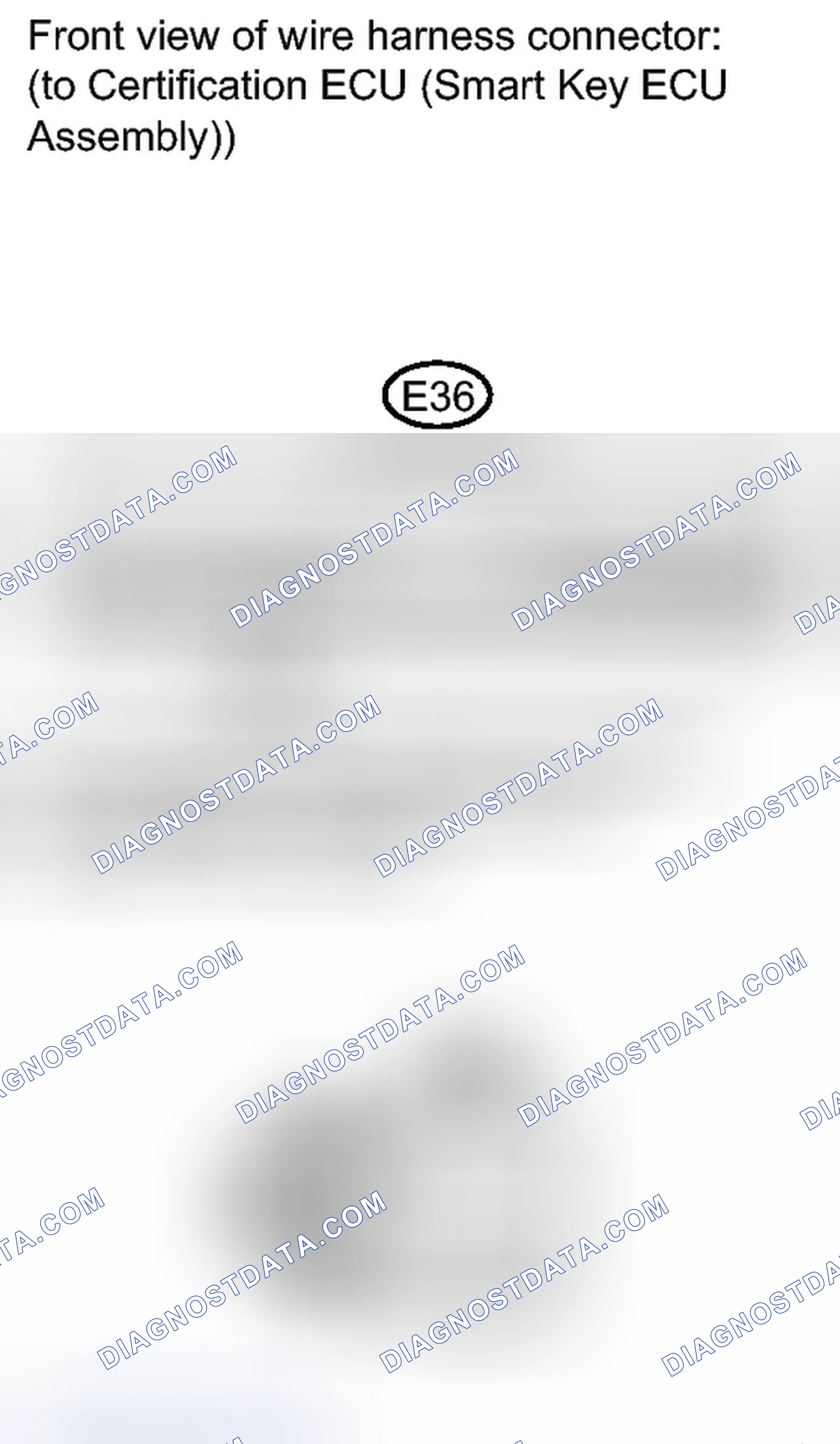 Scheme 237