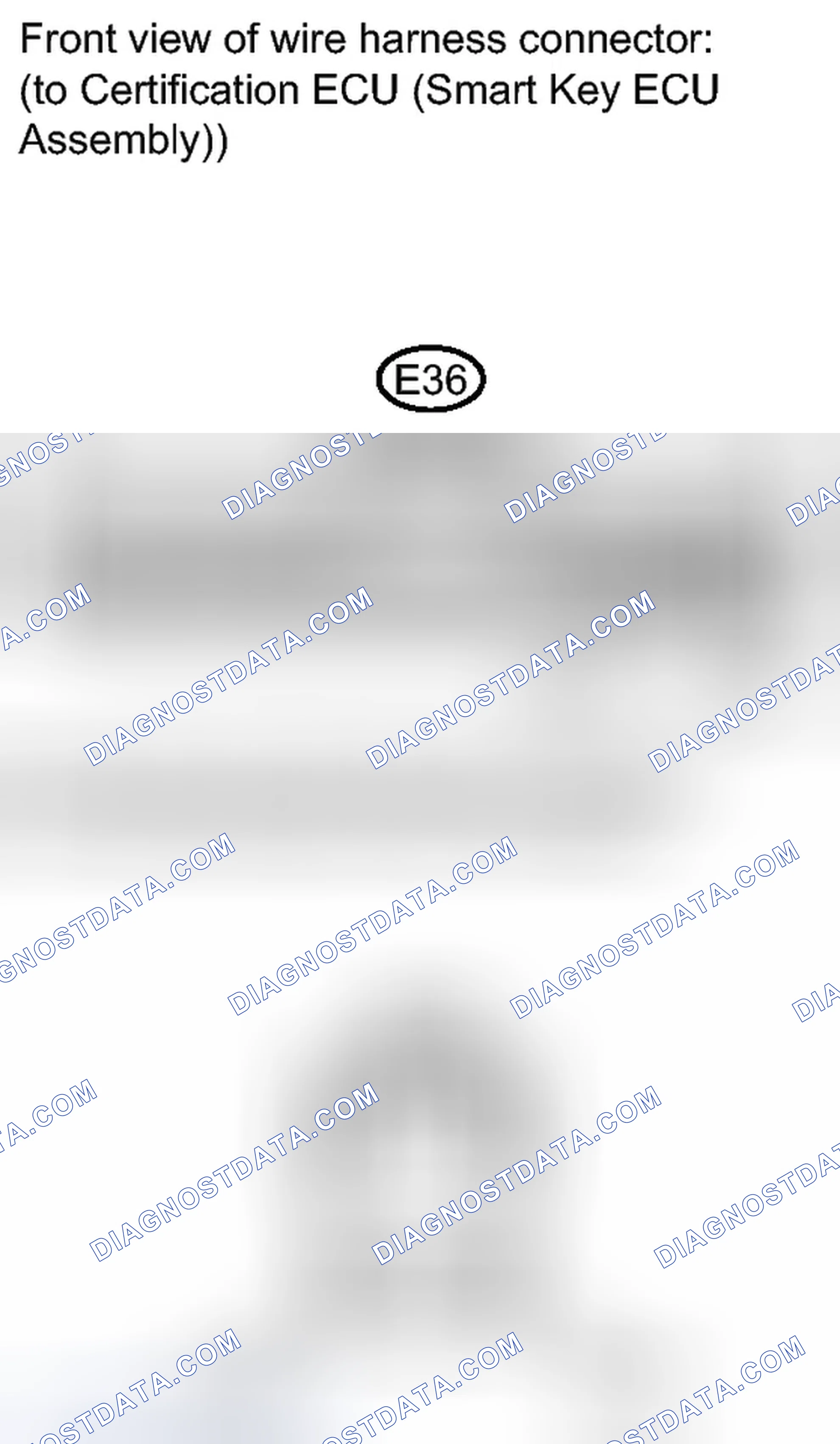 Scheme 239