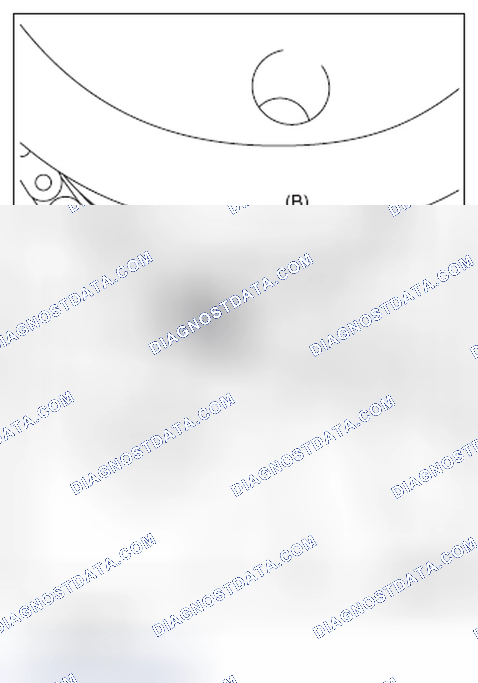 Scheme 571