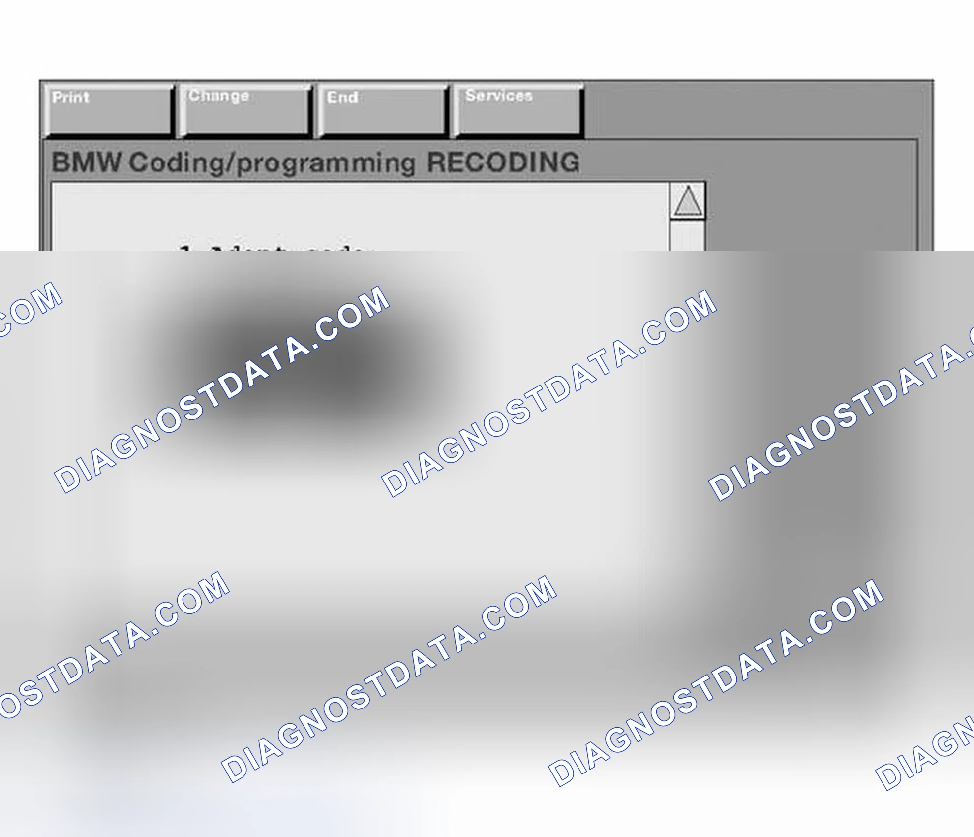 Scheme 183: Manually Entering the Variant Code