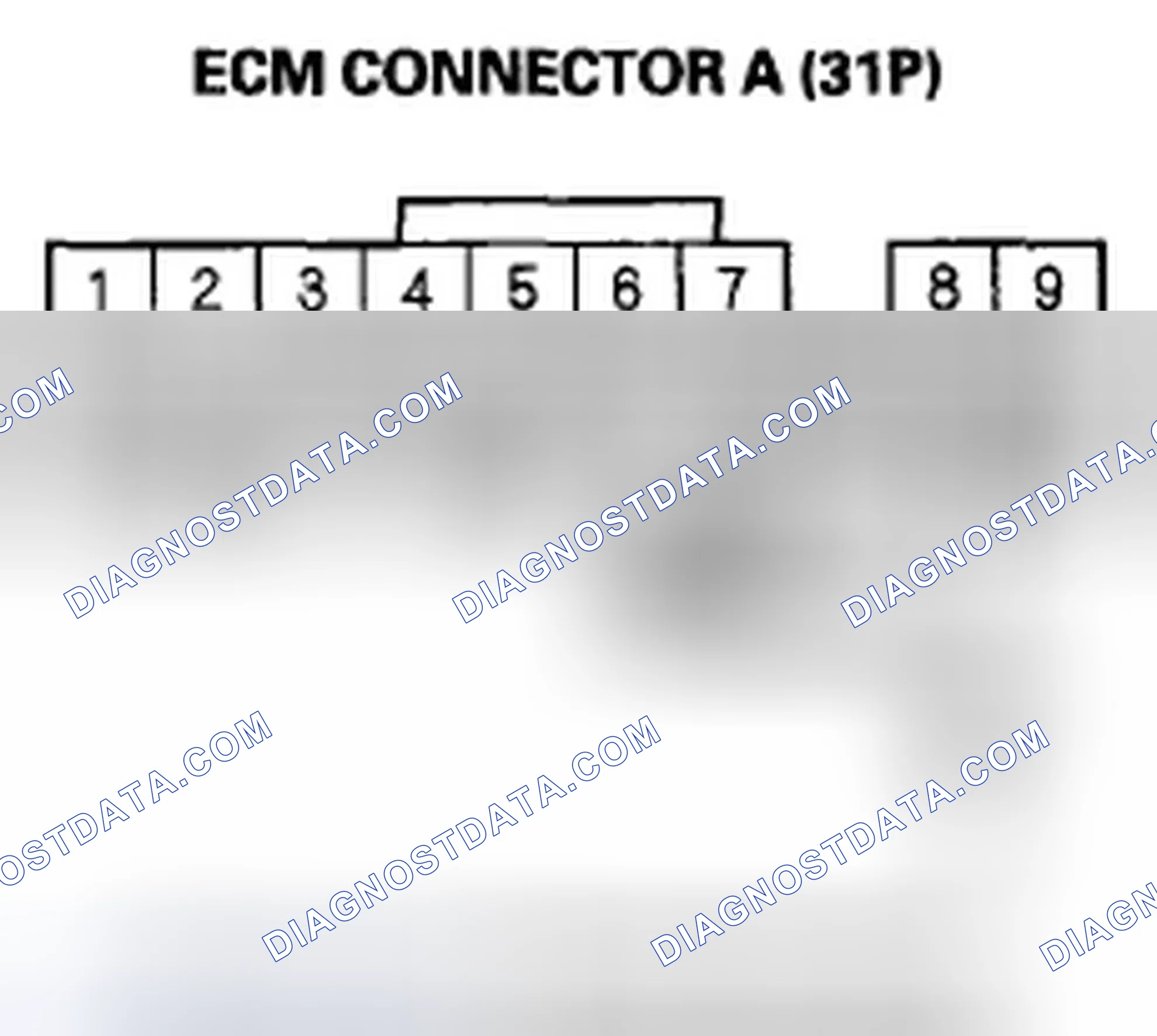 Scheme 372