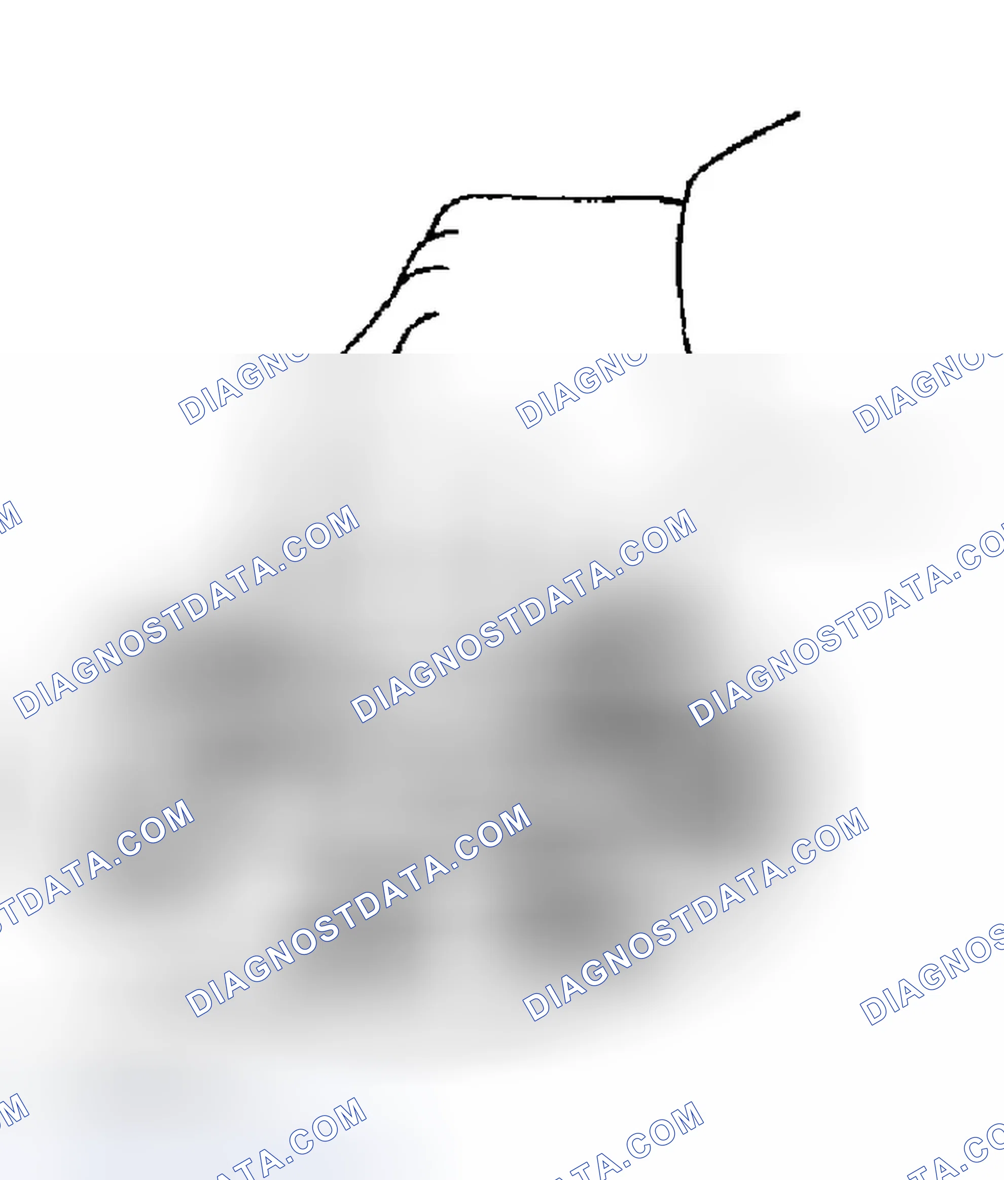 Scheme 85: INSPECTION PROCEDURE