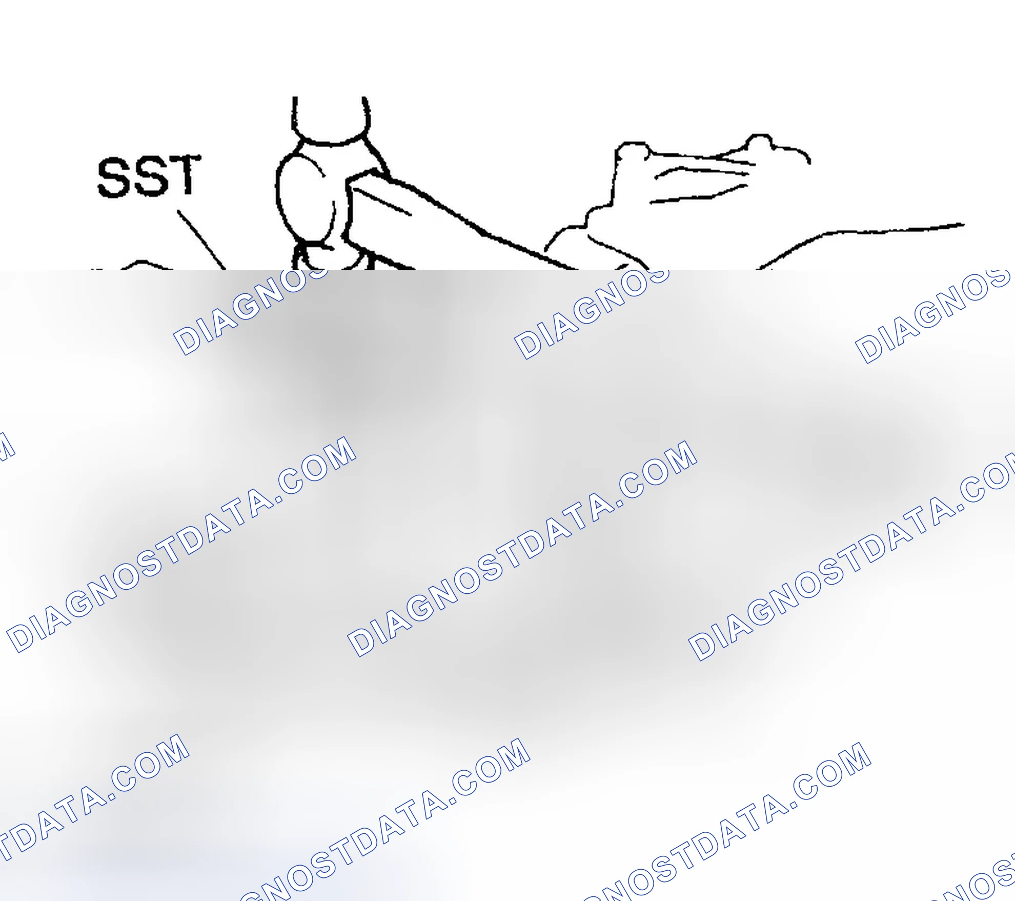 Scheme 57