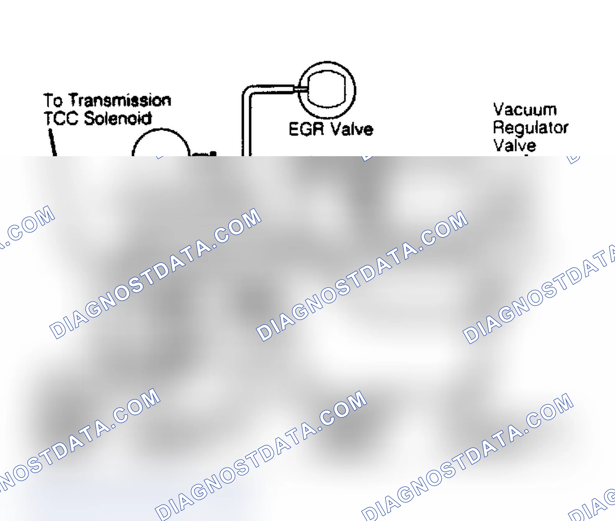 Scheme 78: EGR System Vacuum Diagram (V8 Diesel)