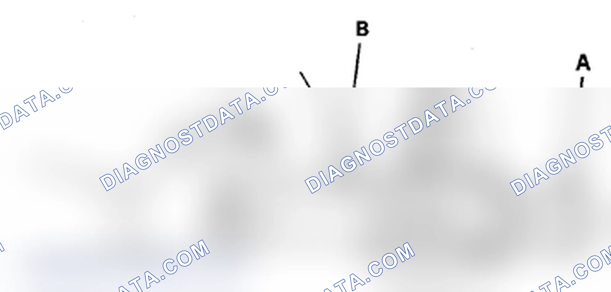 Scheme 2: Radiator Cap Test