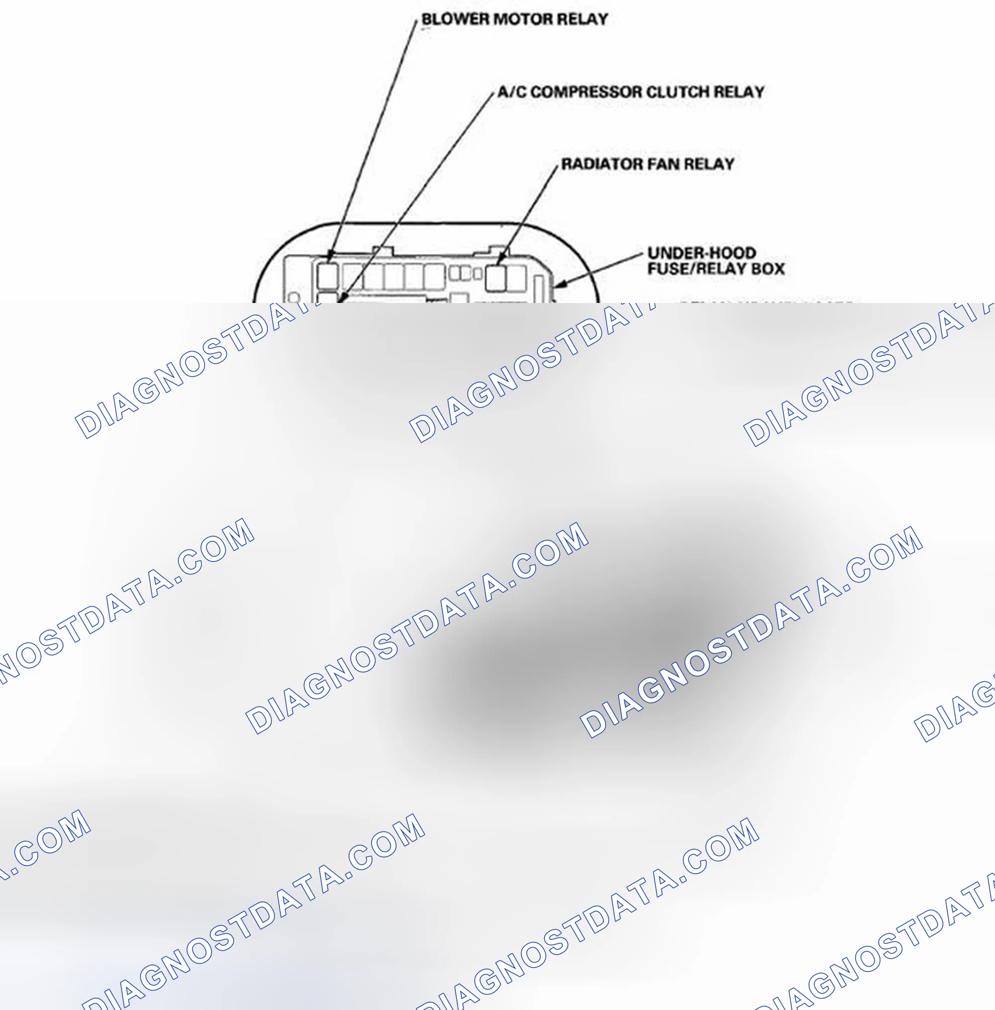 Scheme 358