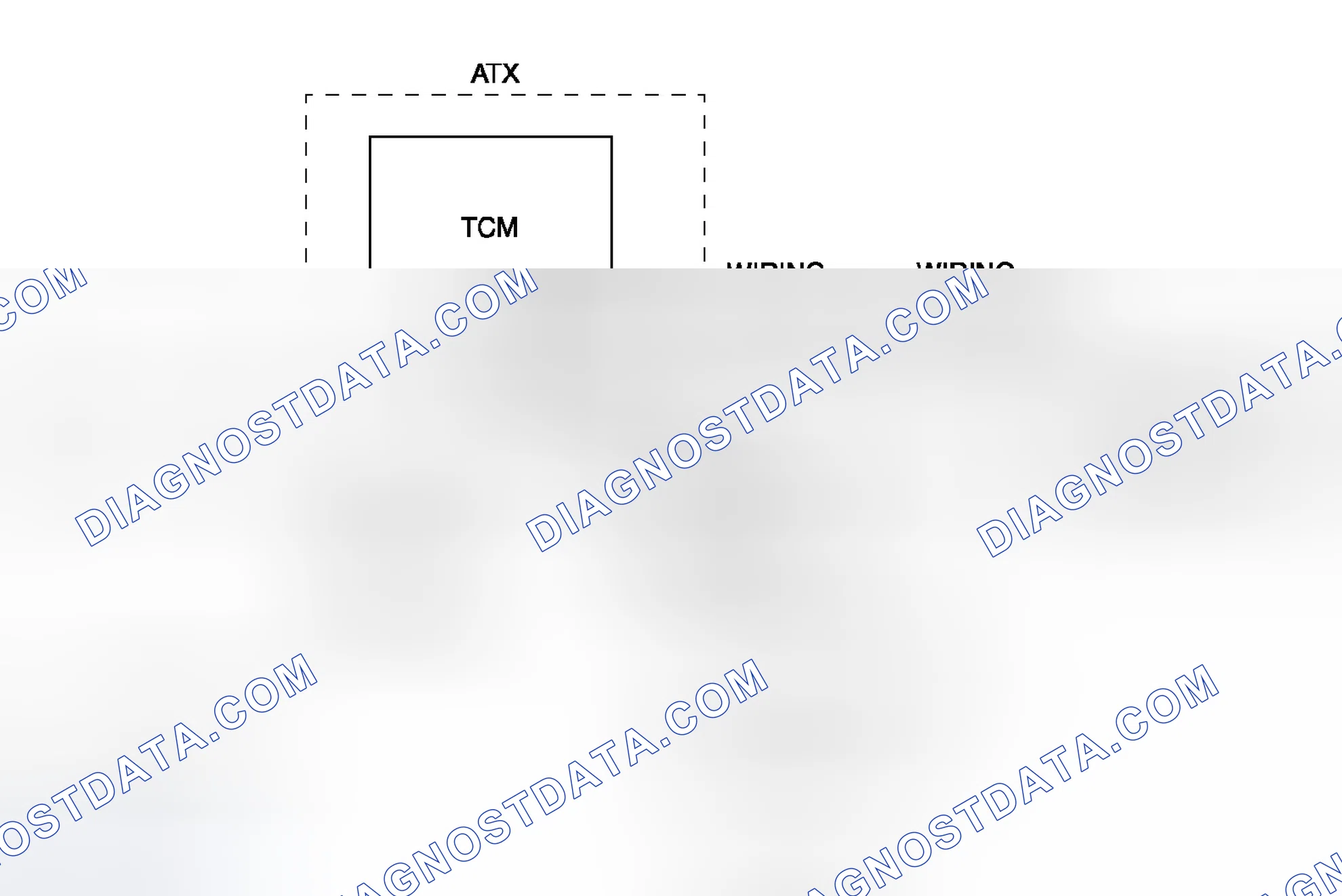 Scheme 48: Diagnostic Procedure