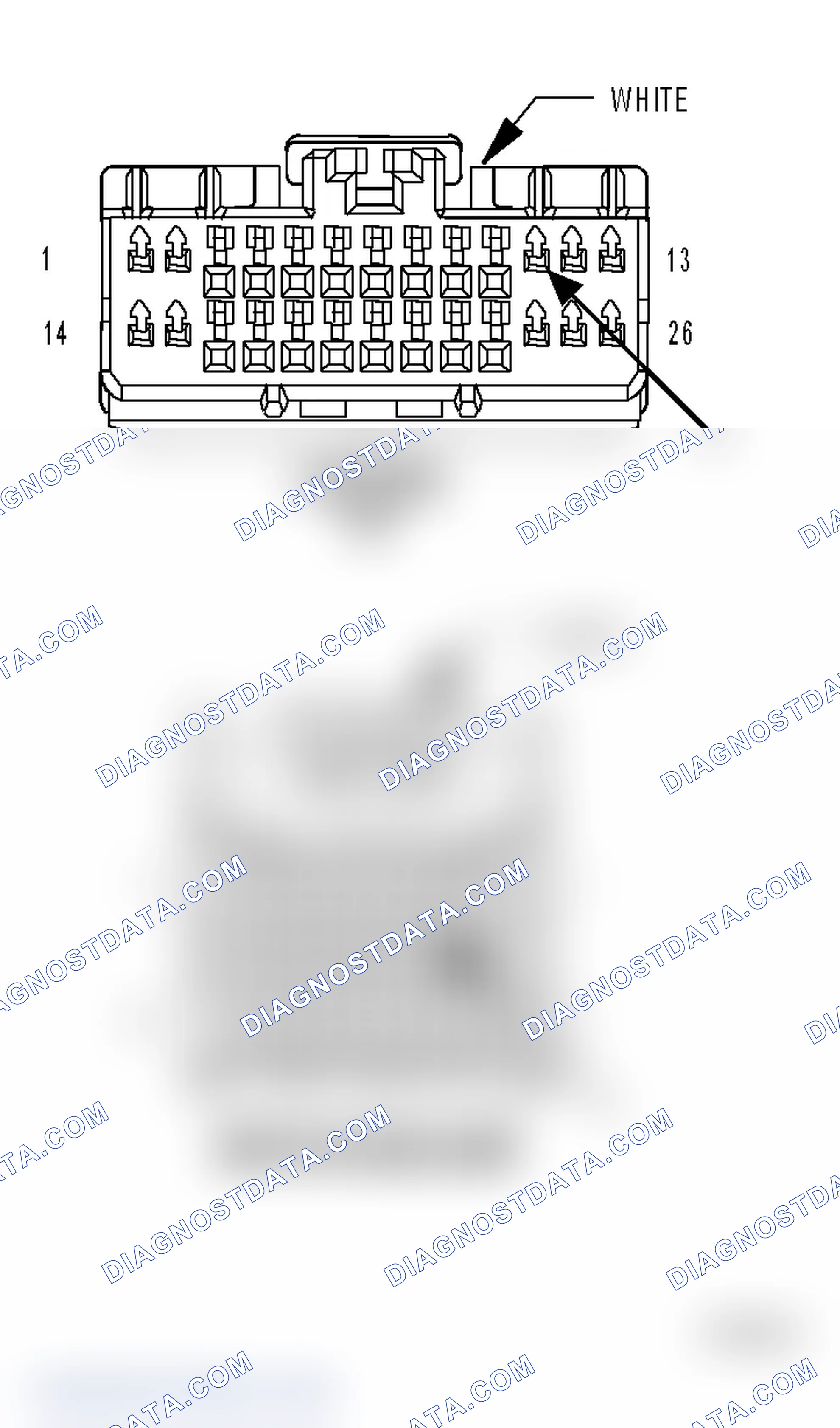 Scheme 2: Diagnostic Test