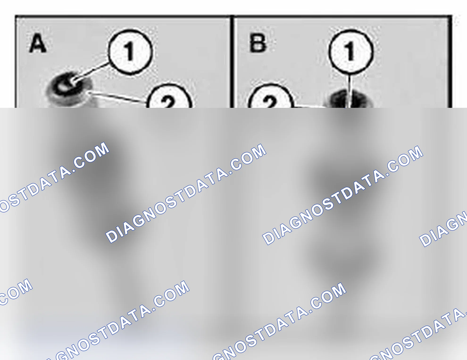 Scheme 79