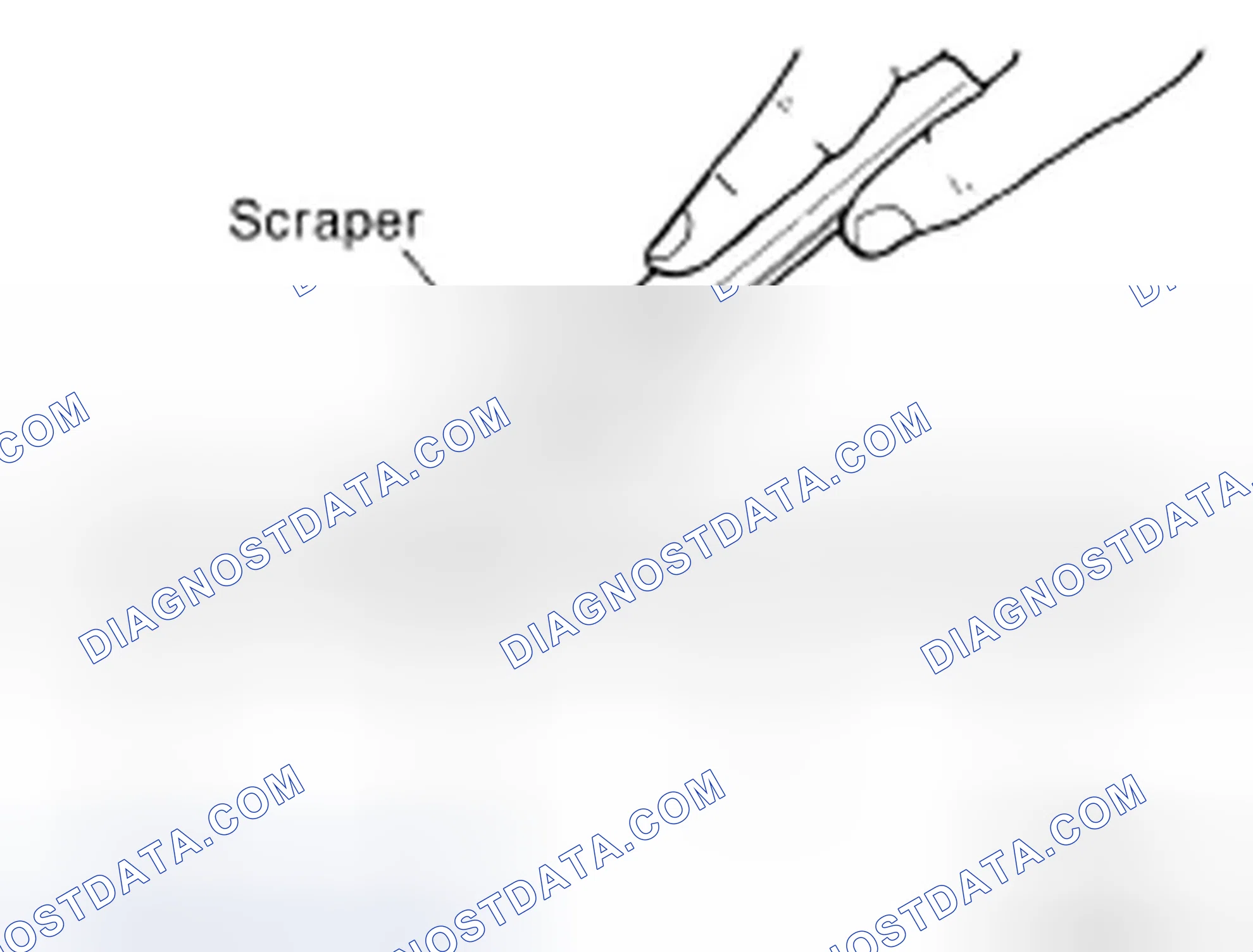 Scheme 2: LIQUID GASKET APPLICATION PROCEDURE