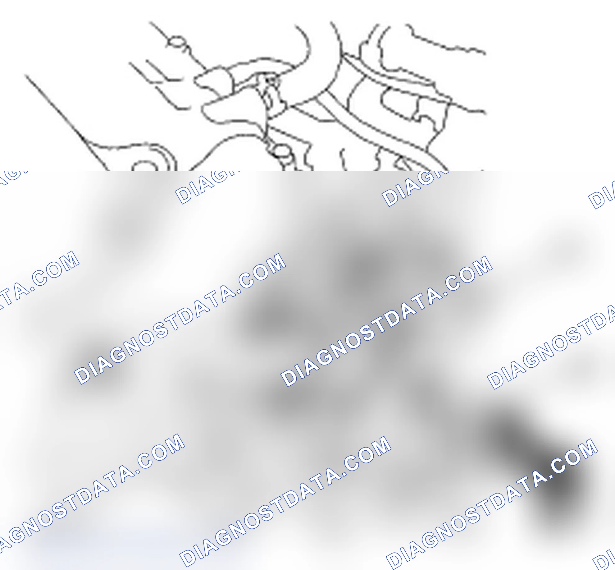 Scheme 21: DTC P0443: EVAP Canister Purge Valve Circuit Malfunction