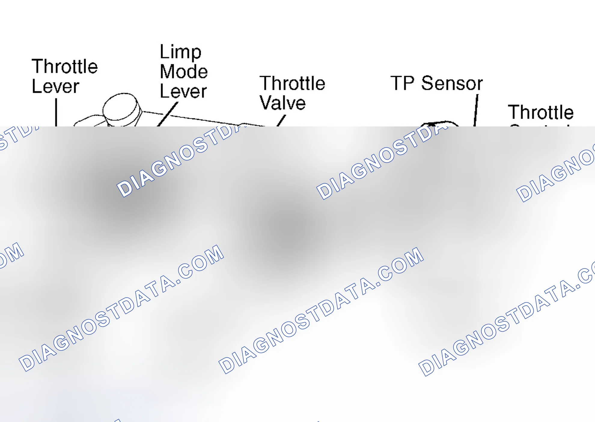 Scheme 132: Land Cruiser & LX470
