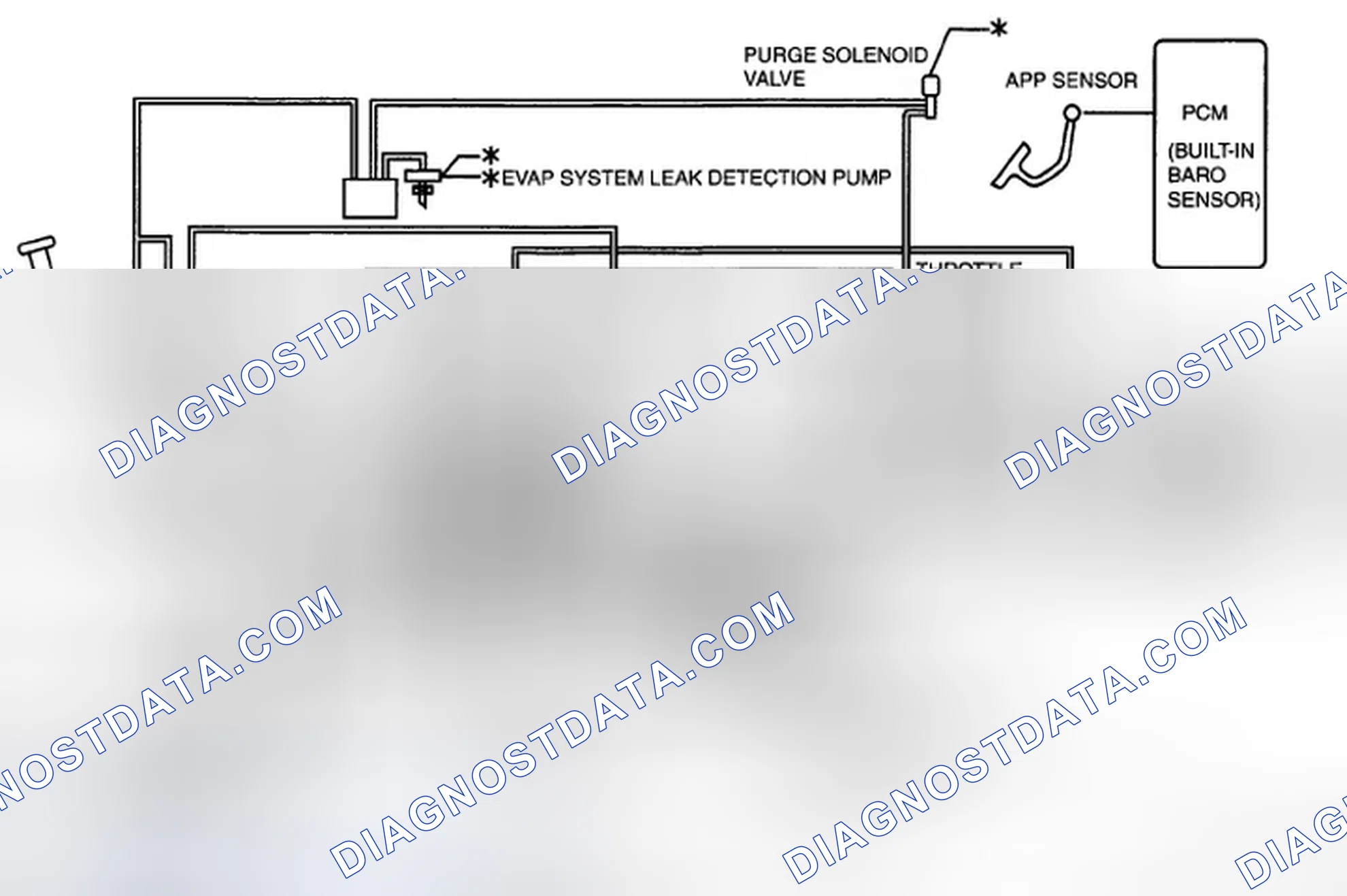Scheme 26: Except for California Emission Regulation Applicable Model