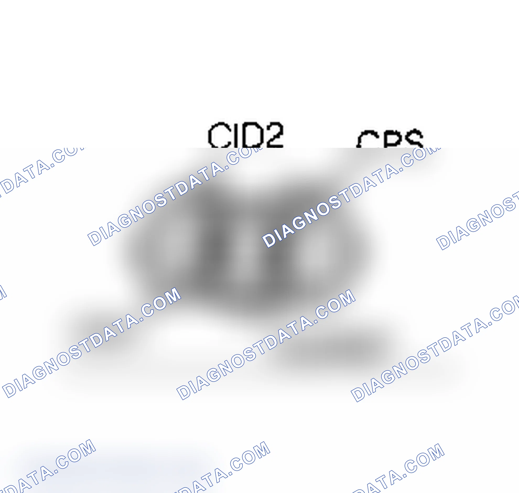 Scheme 102: CYLINDER IDENTIFICATION NO. 2 (CID2)
