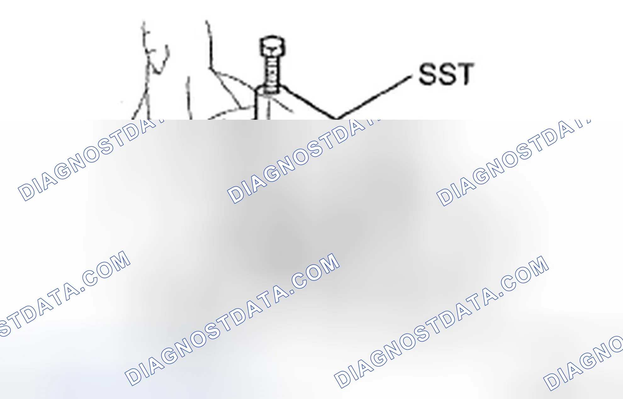 Scheme 66