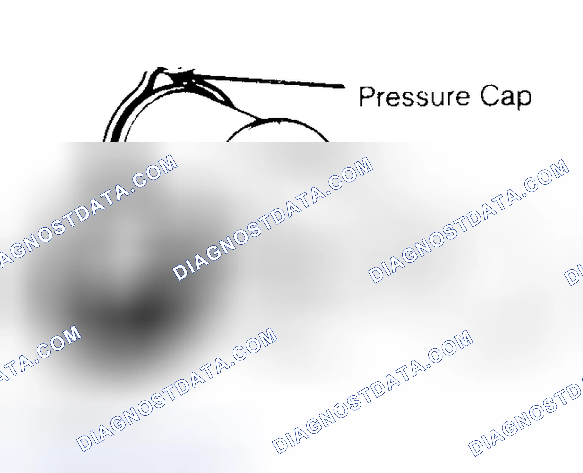 Scheme 2: Pressure Testing Radiator Cap