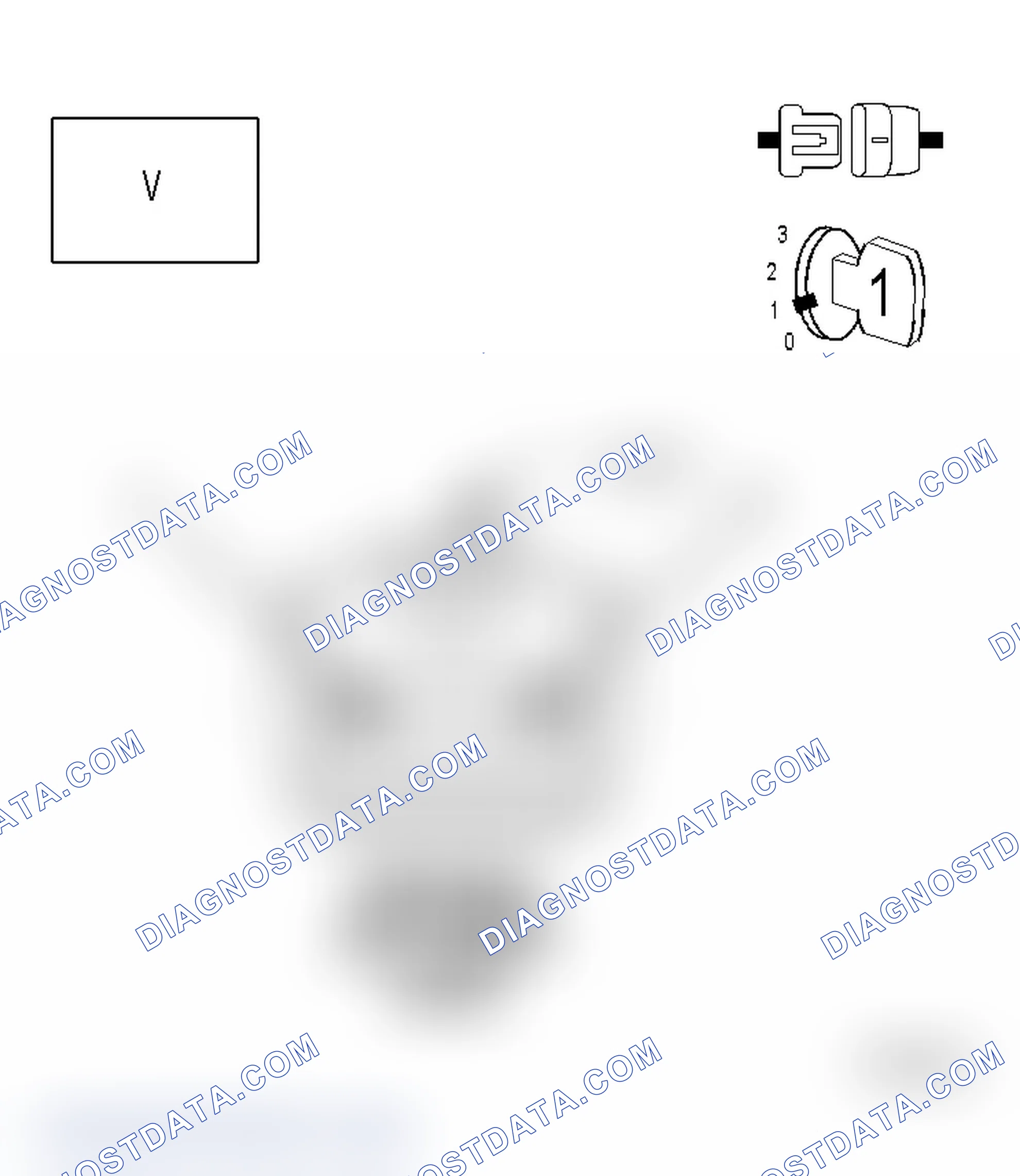 Scheme 18: Diagnostic Test