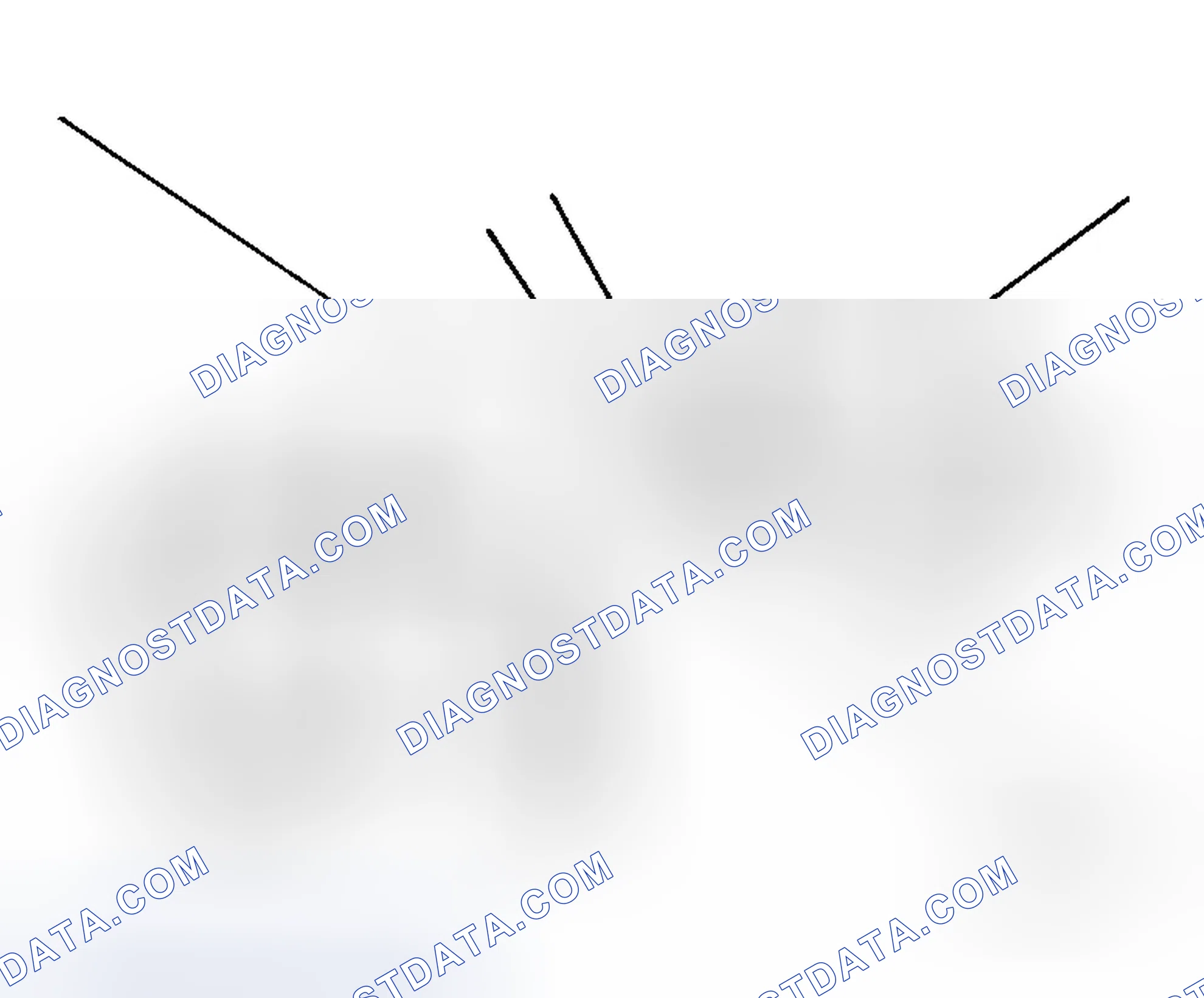 Scheme 49: Changing Brake Fluid