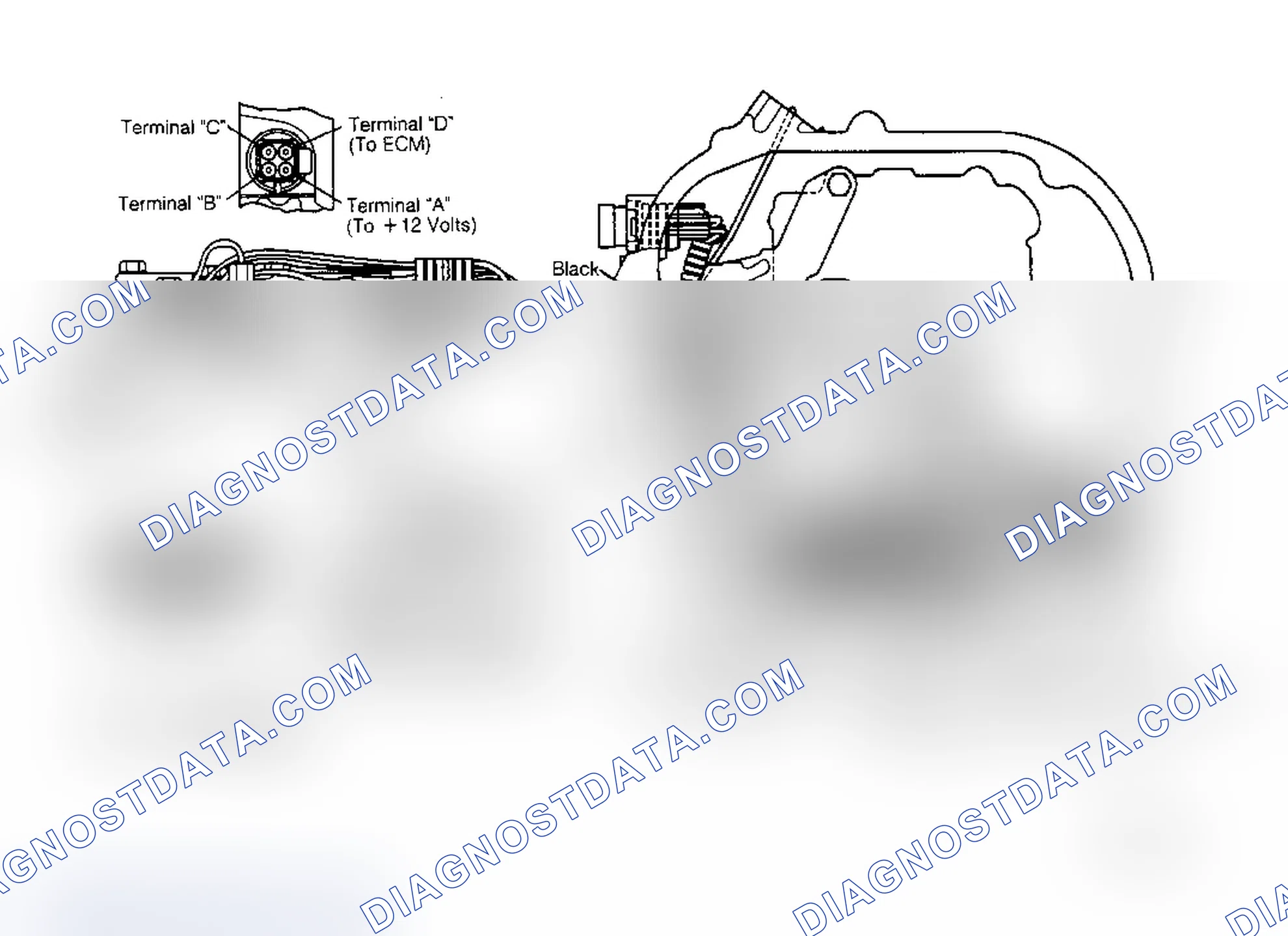 Scheme 335