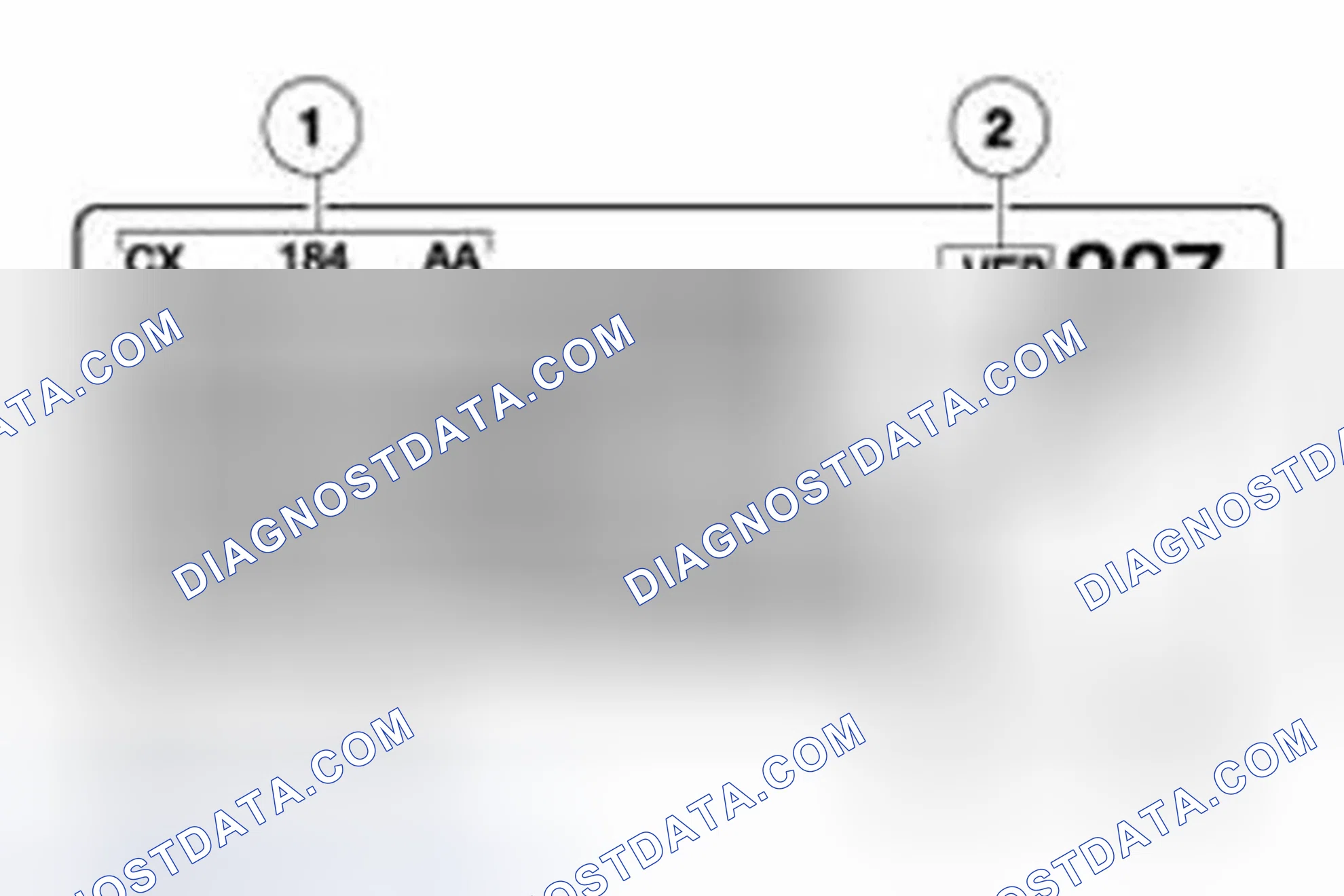 Scheme 301: Engine Code Information Label