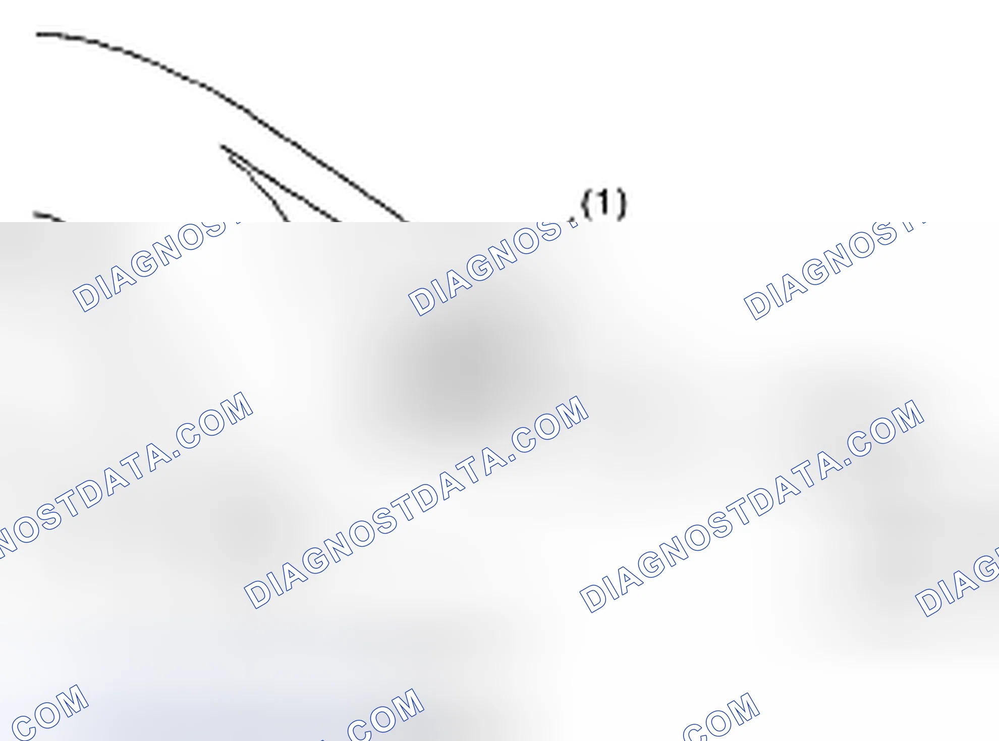 Scheme 5: Identifying Rear Differential Type (White Paint)