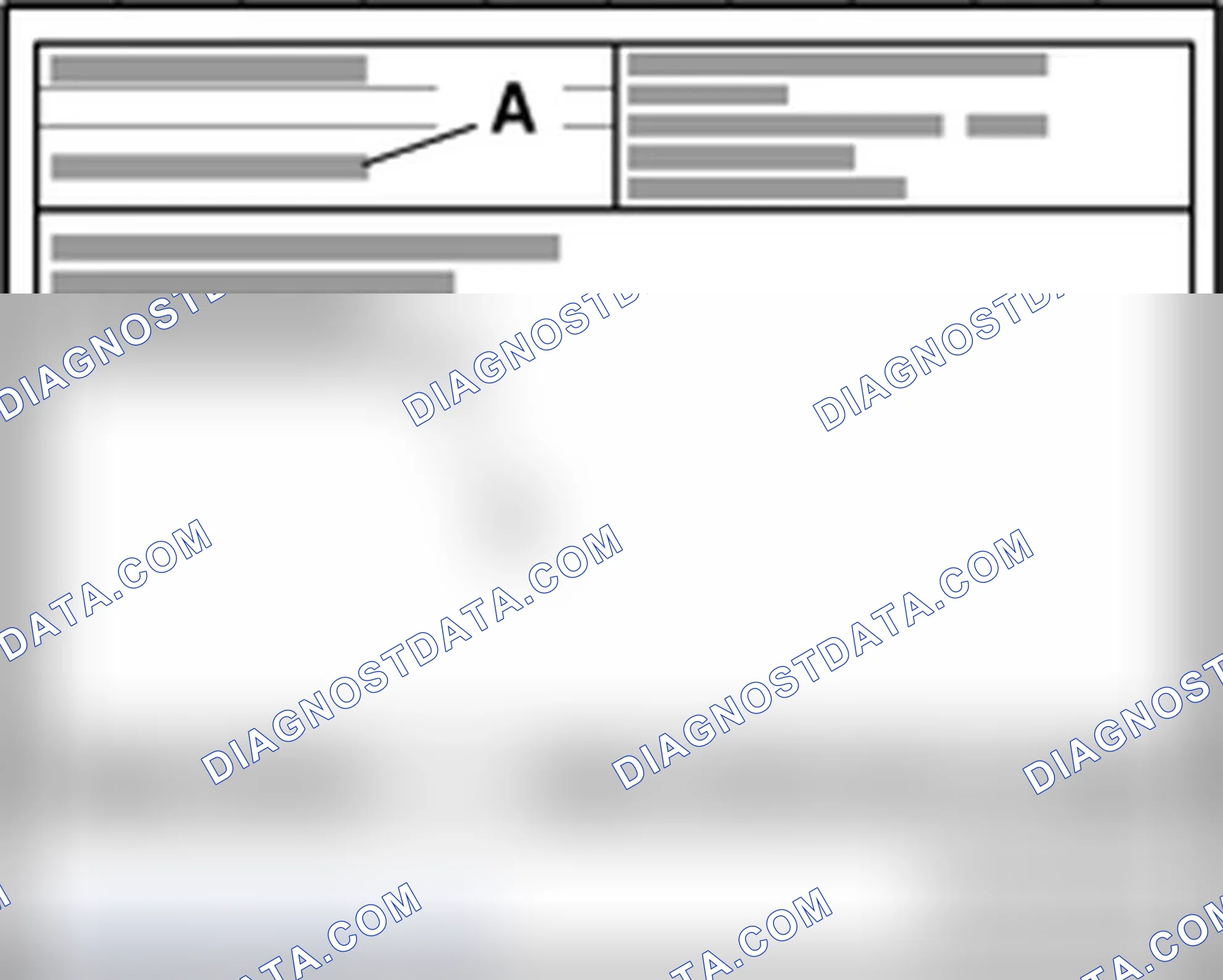 Scheme 464