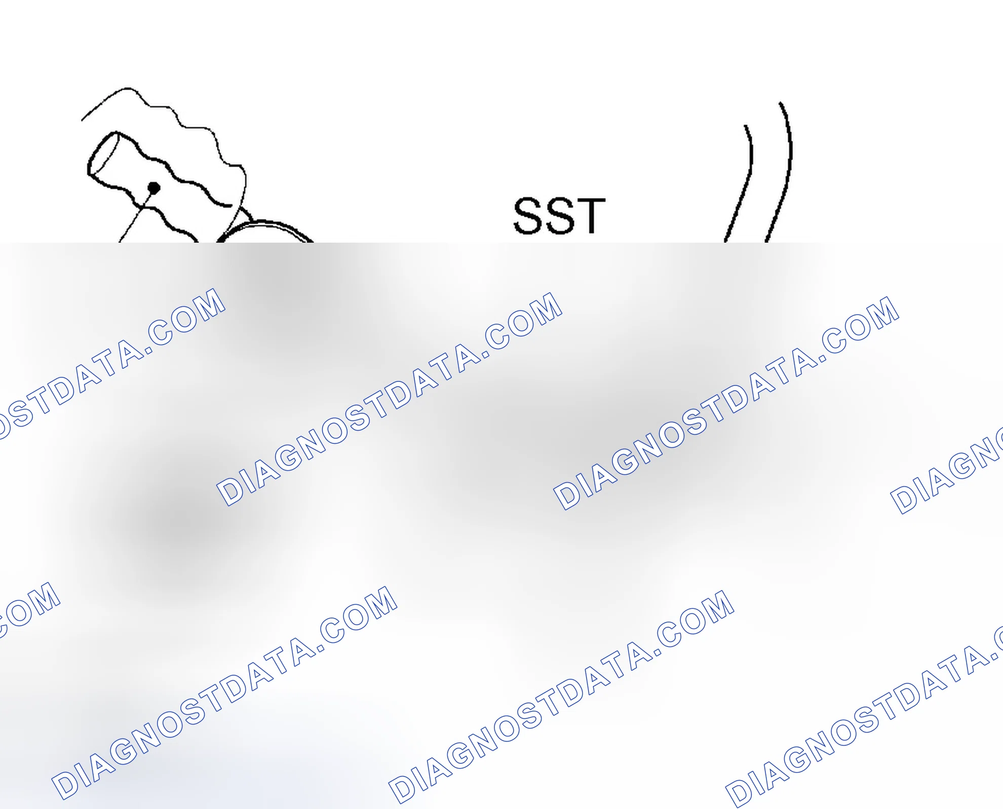 Scheme 5