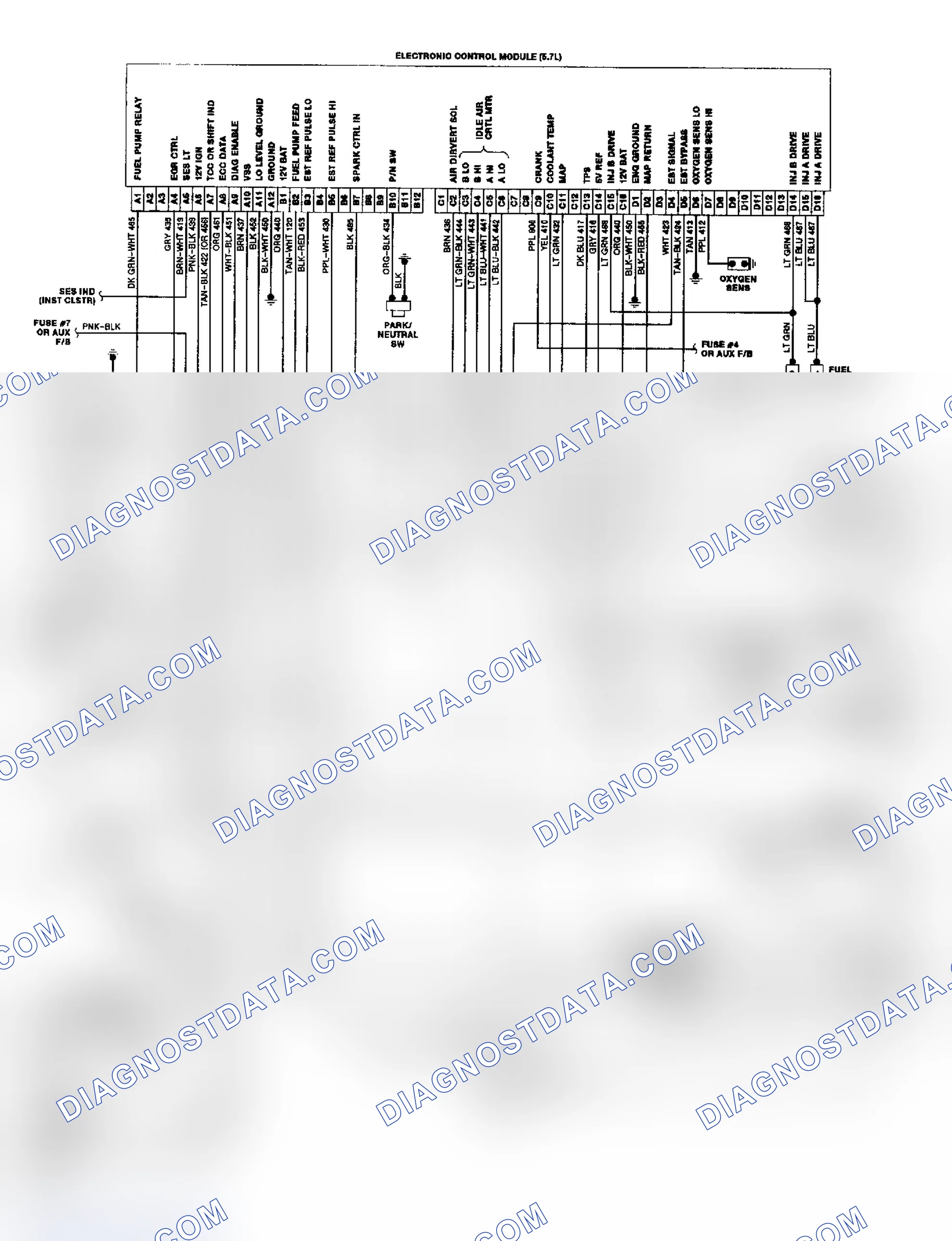 Scheme 19: "P" Series TBI/CCC Wiring Diagram
