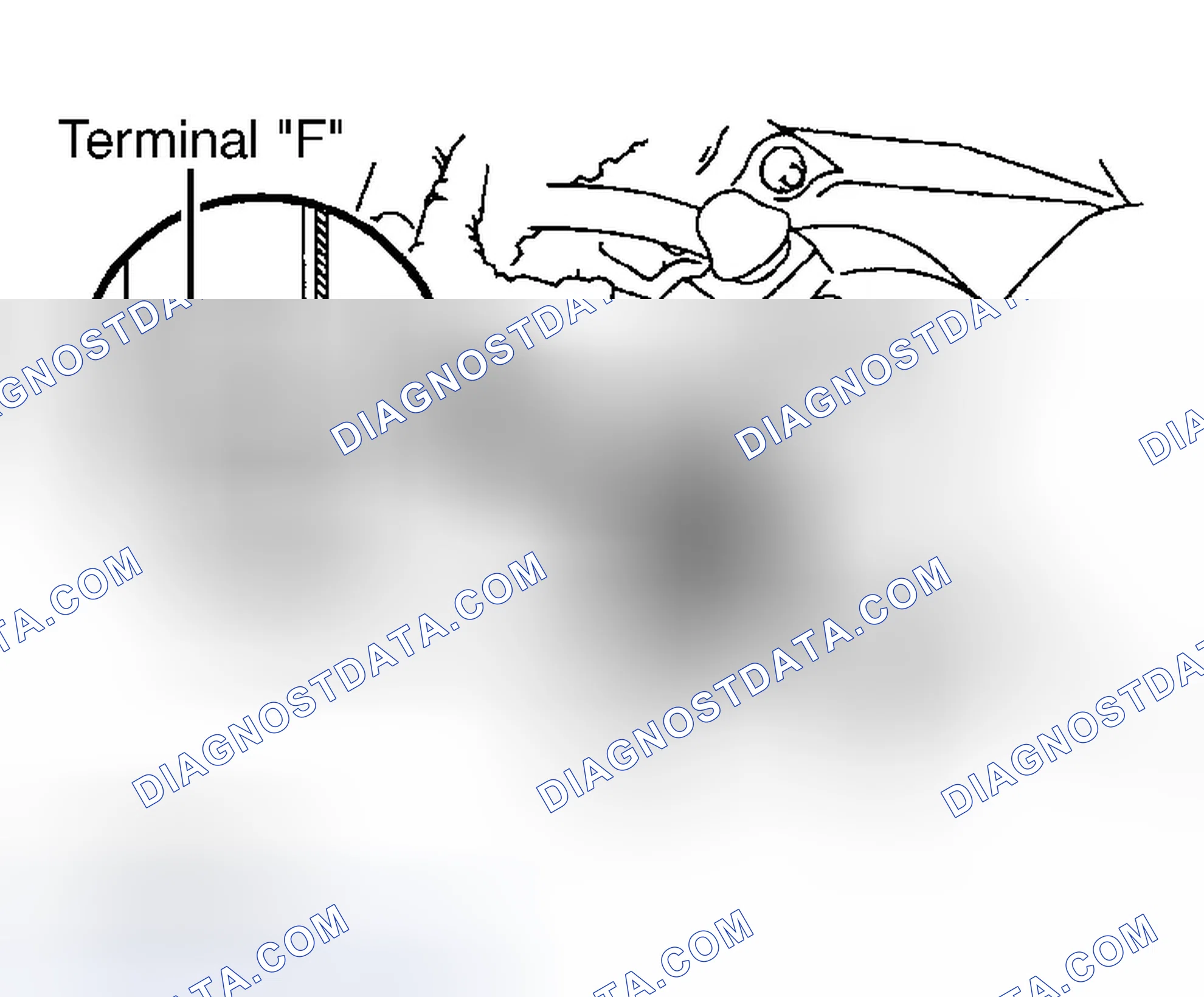 Scheme 13