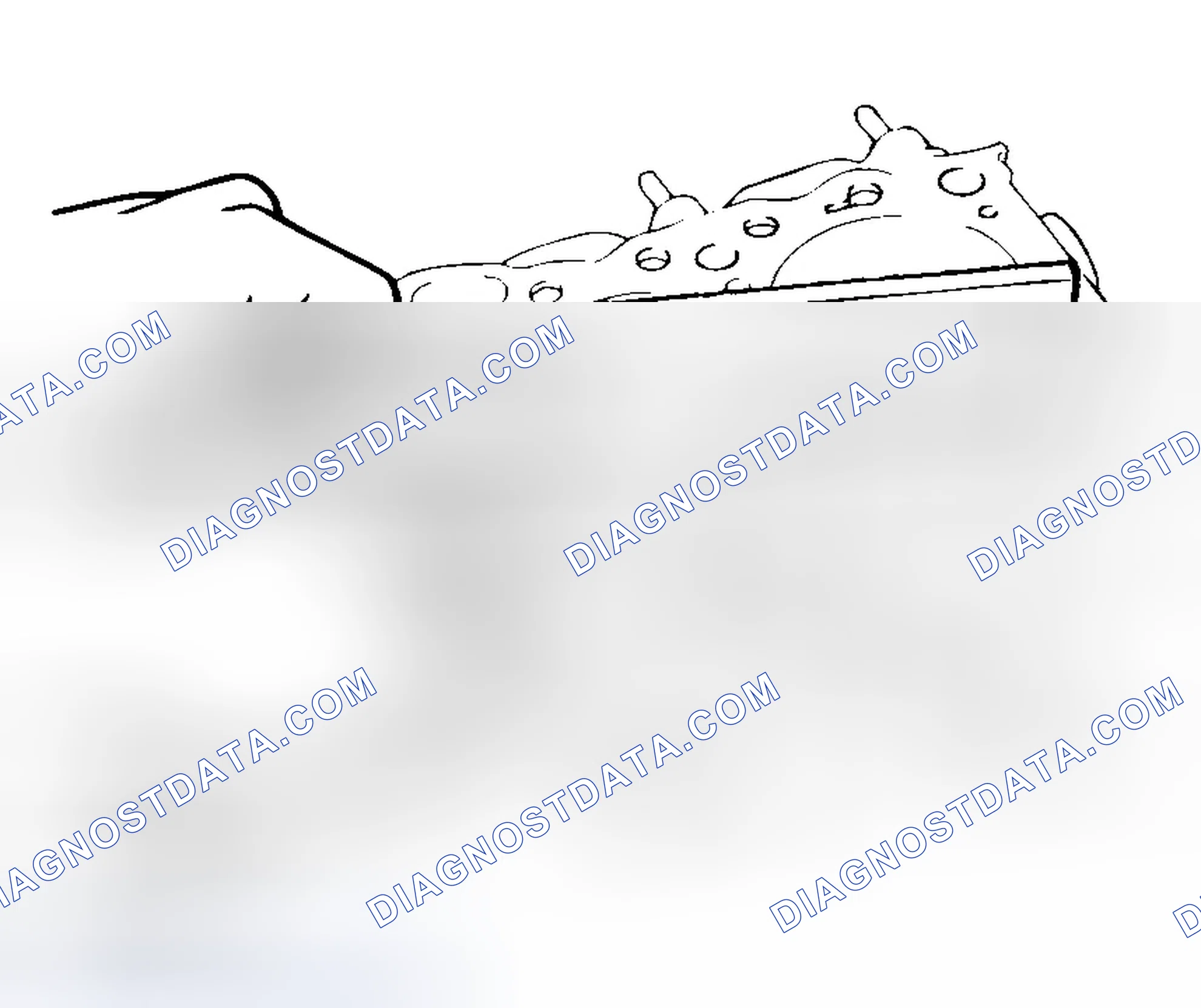 Scheme 216: CYLINDER HEAD