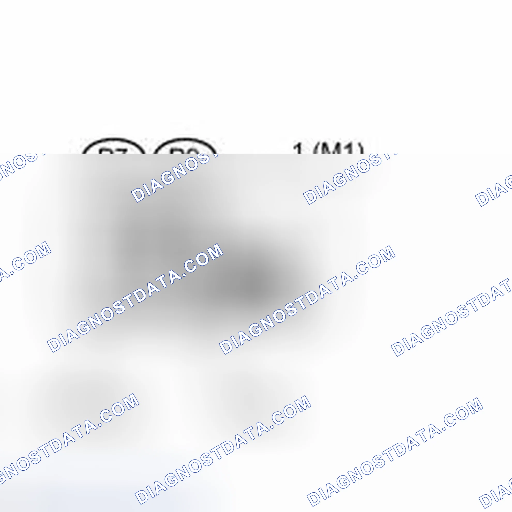 Scheme 5: INSPECTION PROCEDURE