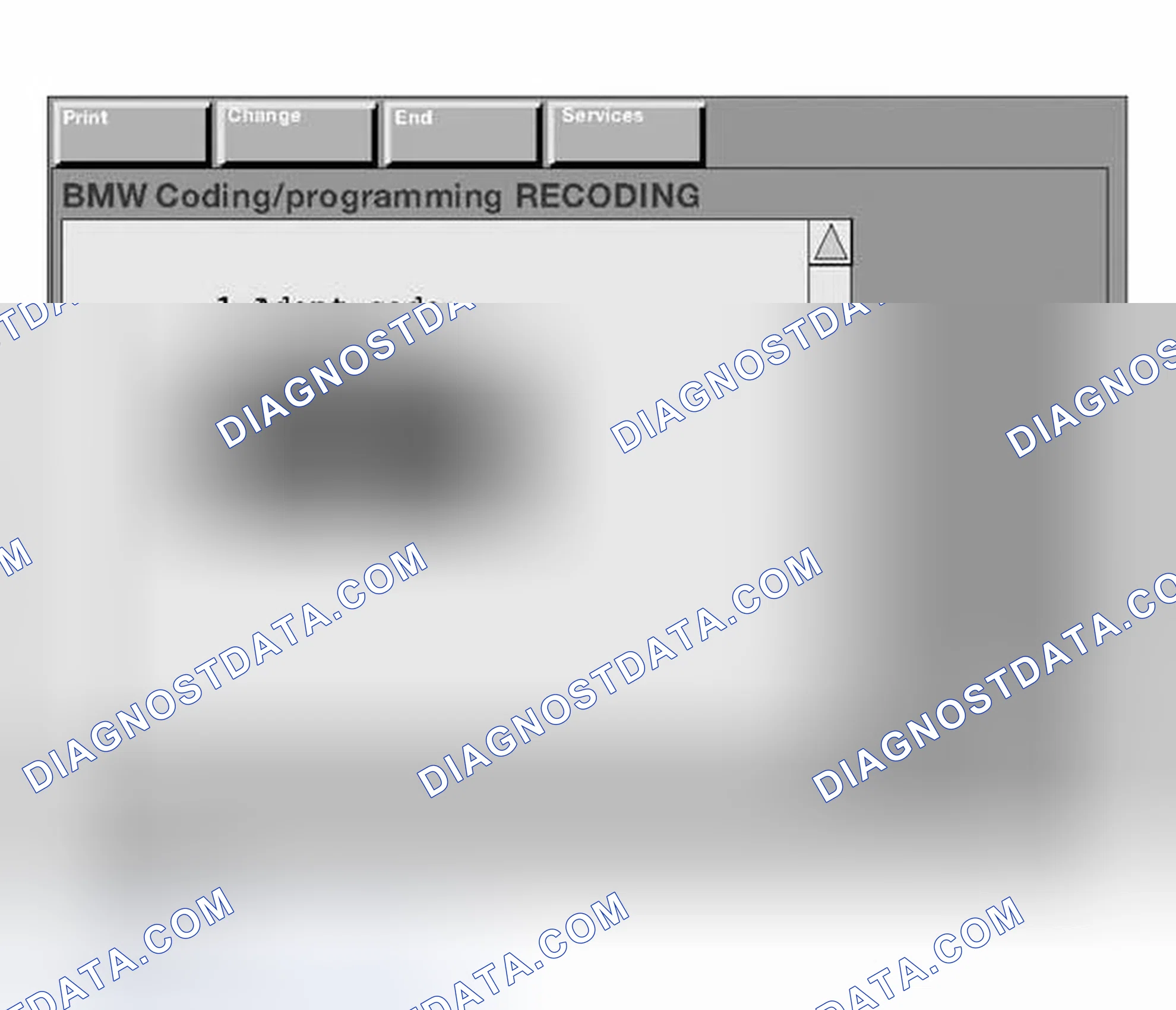 Scheme 214: Manually Entering the Variant Code
