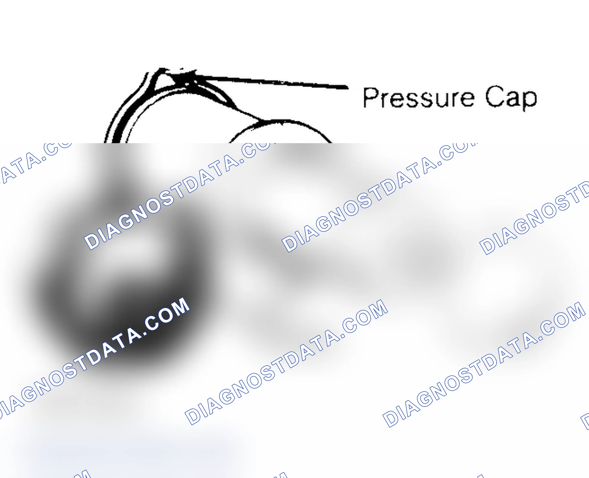 Scheme 2: Pressure Testing Radiator Cap