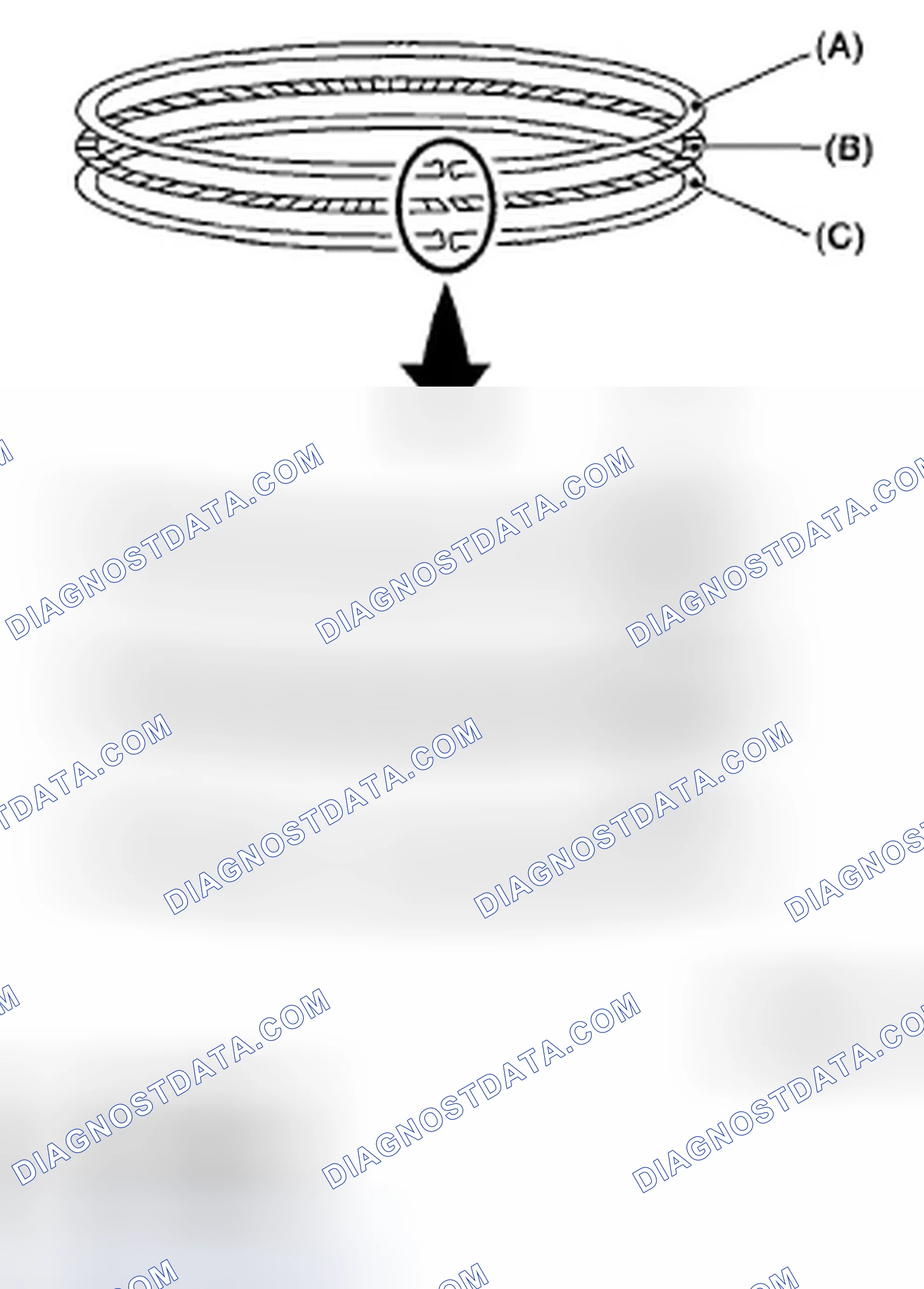 Scheme 446: PISTON RING