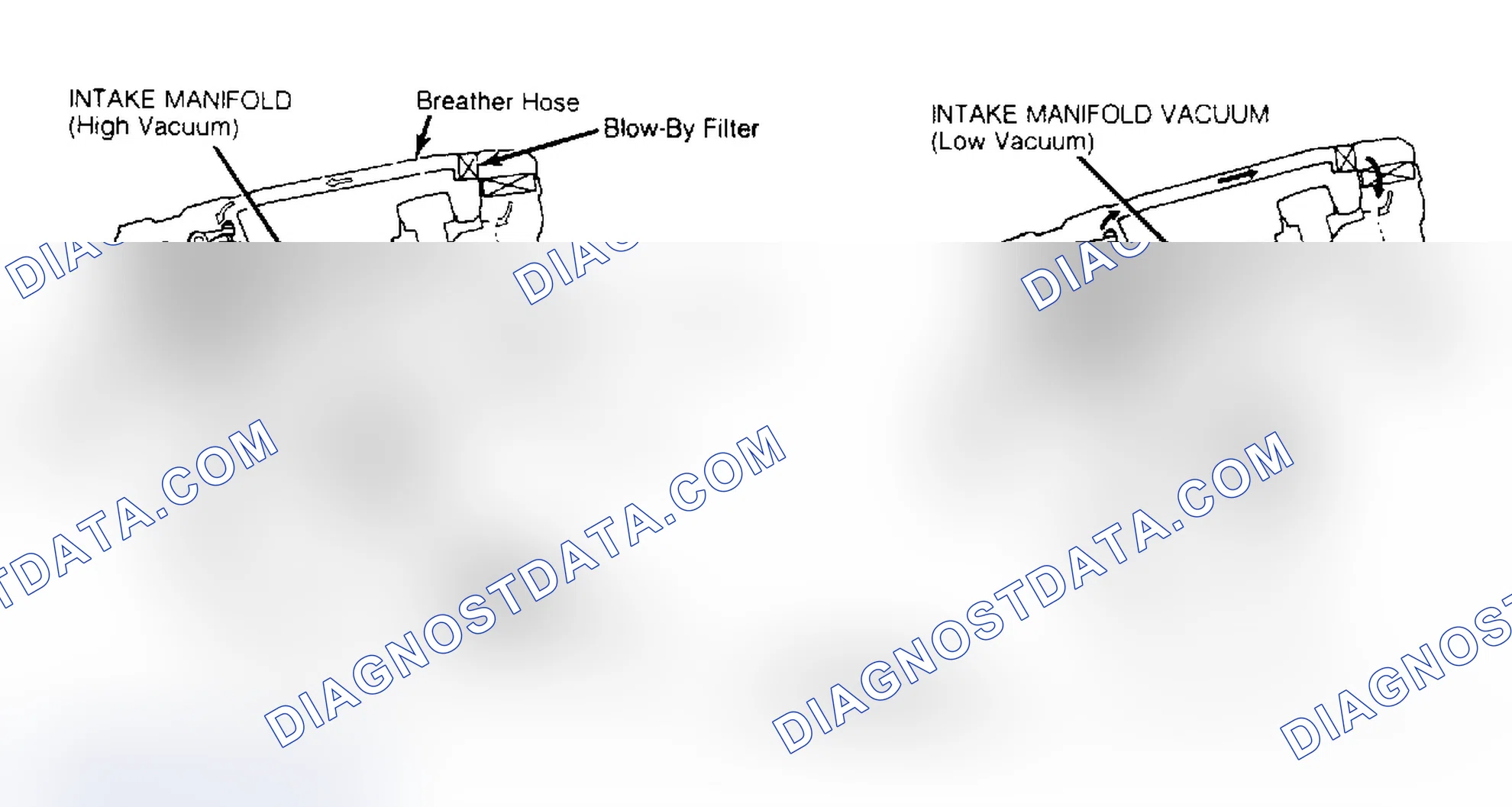 Scheme 21: Crankcase Ventilation System (Accord & Prelude - Carbureted) PCV valve is located in-line on fuel injected models. Courtesy of American Honda Motor Co., Inc.