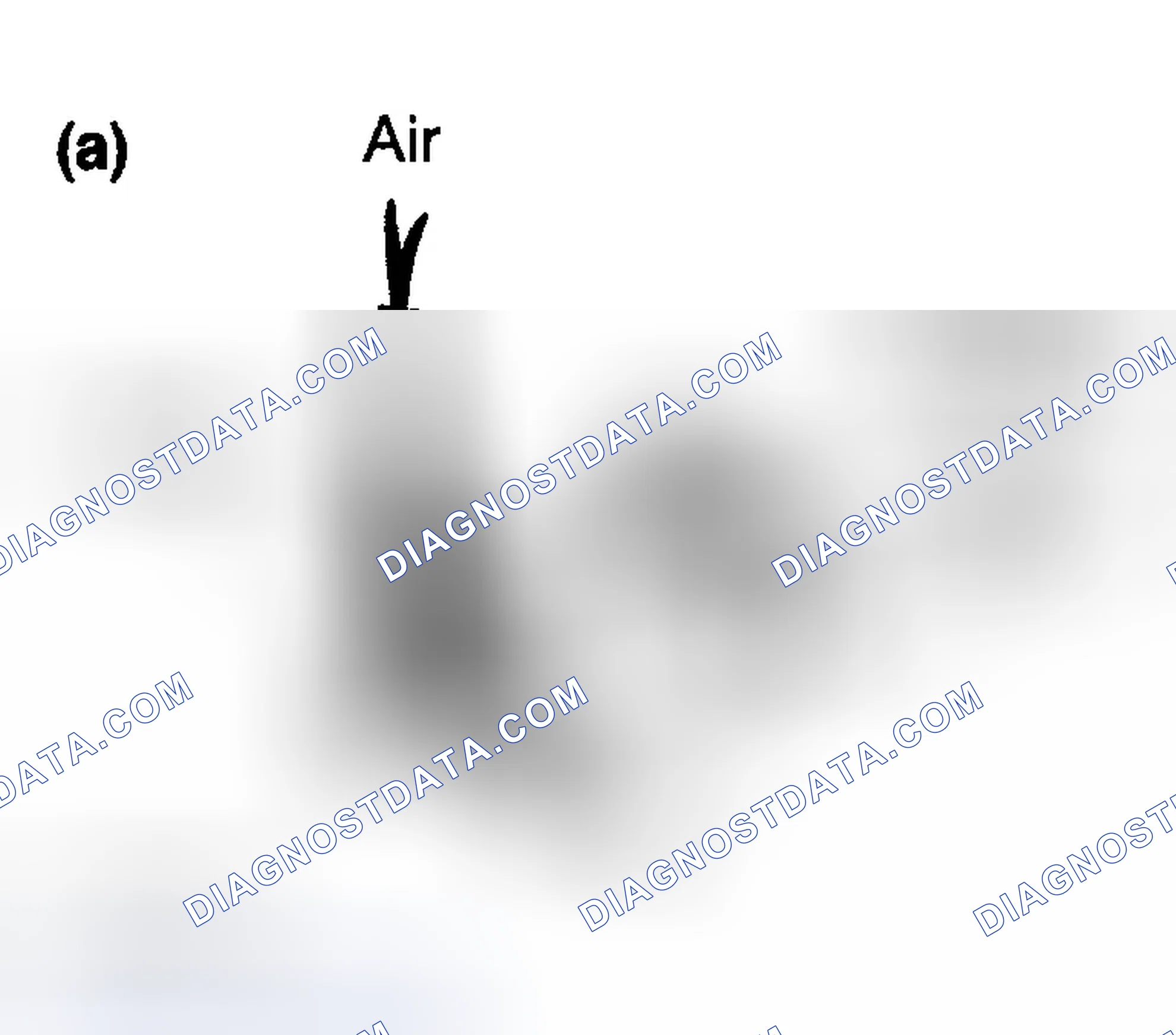 Scheme 466