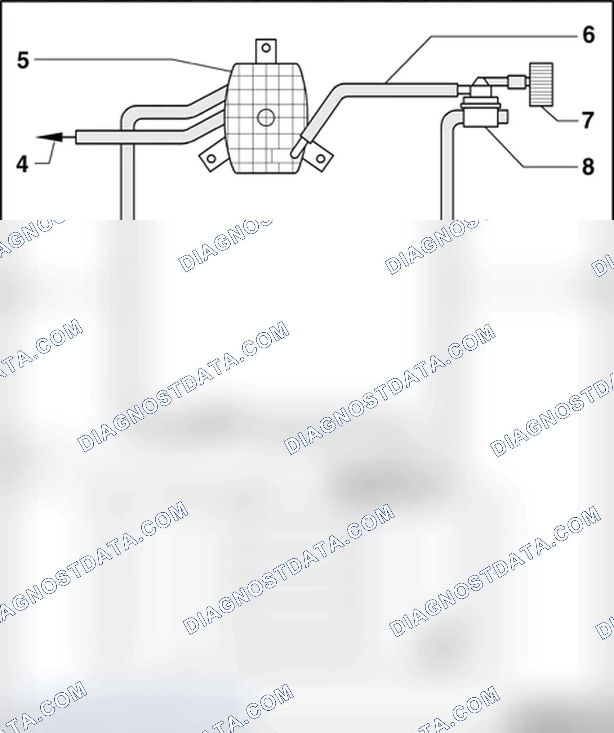 Scheme 589: Hose routing, EVAP canister/leak detection system 6-cyl. (MPI-engine)