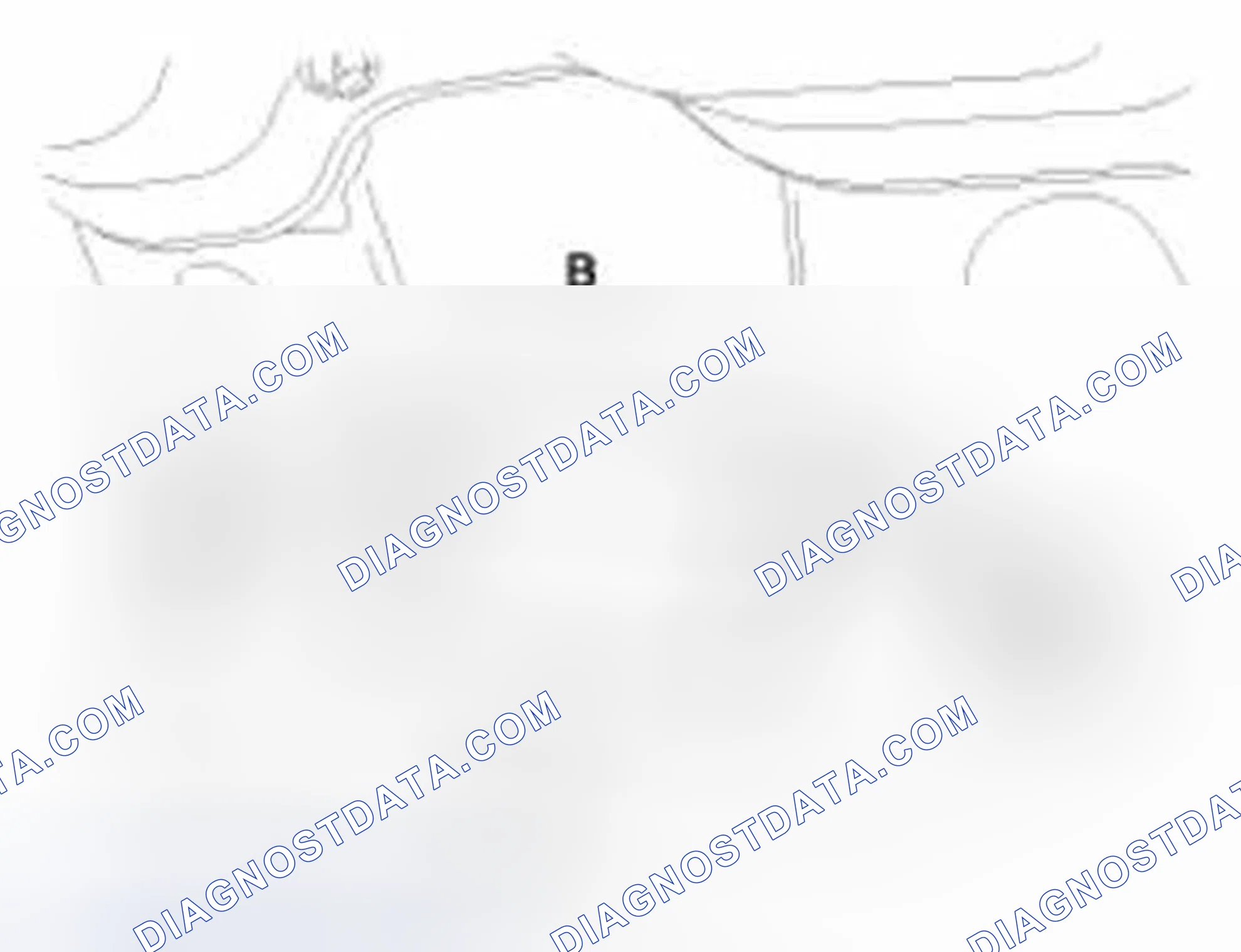 Scheme 148