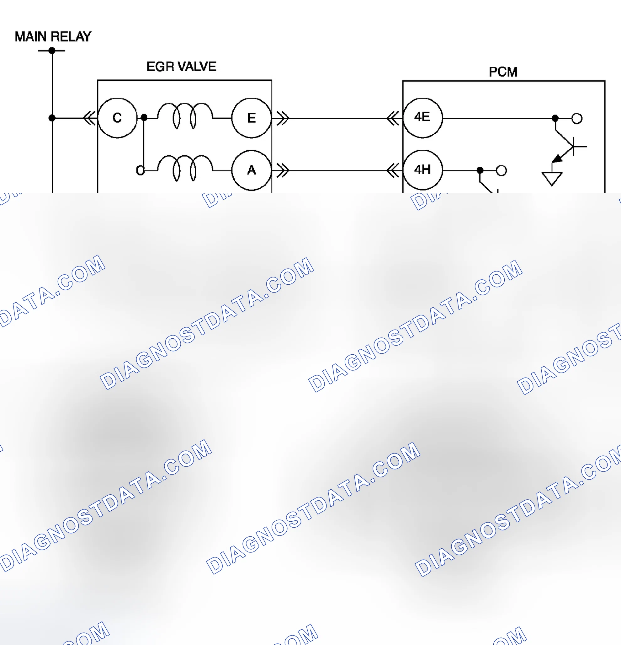 Scheme 27: Diagnostic Procedure