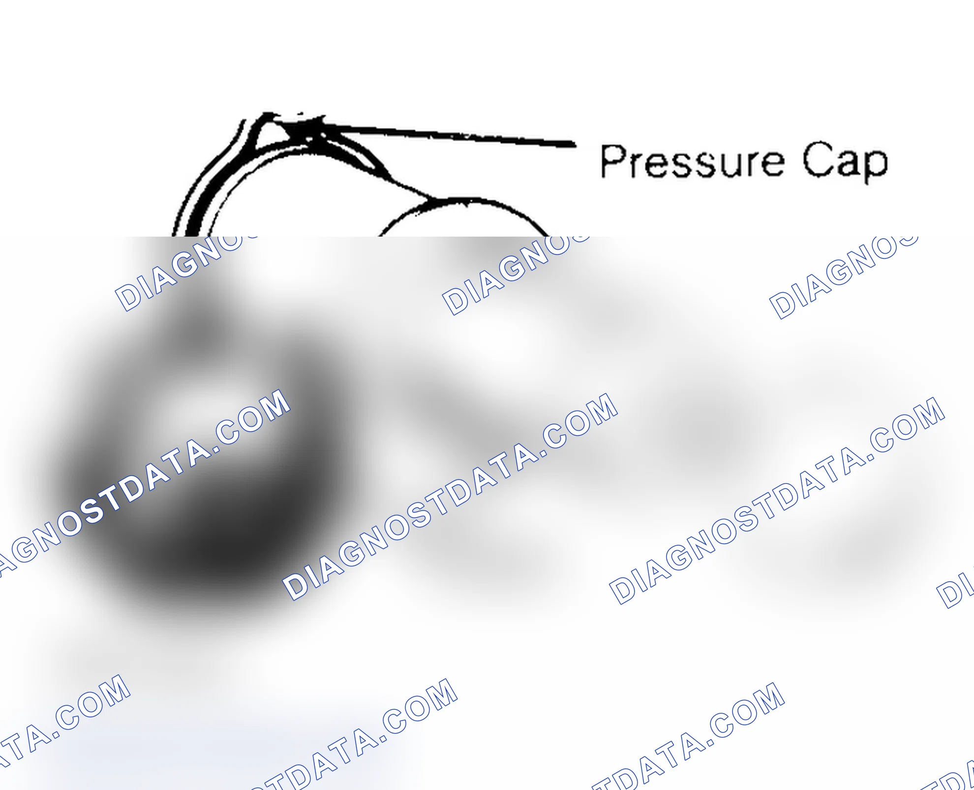 Scheme 2: Pressure Testing Radiator Cap
