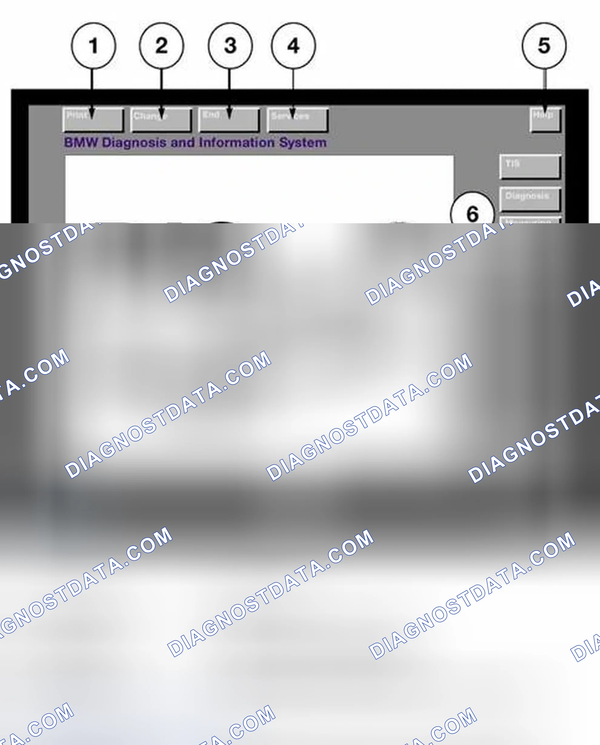 Scheme 506: Identifying DIS Start Screen