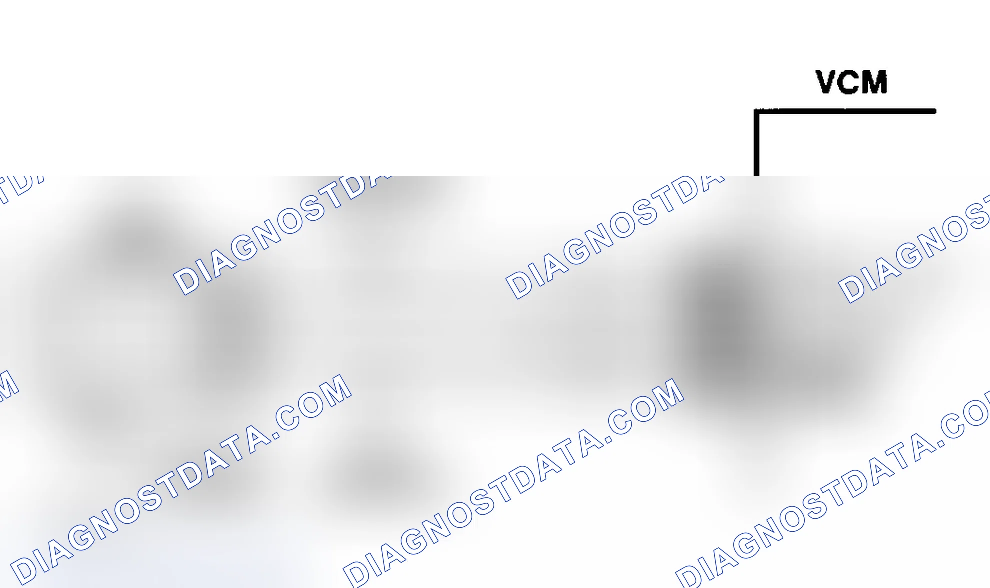 Scheme 13: DTC P0106 Schematic